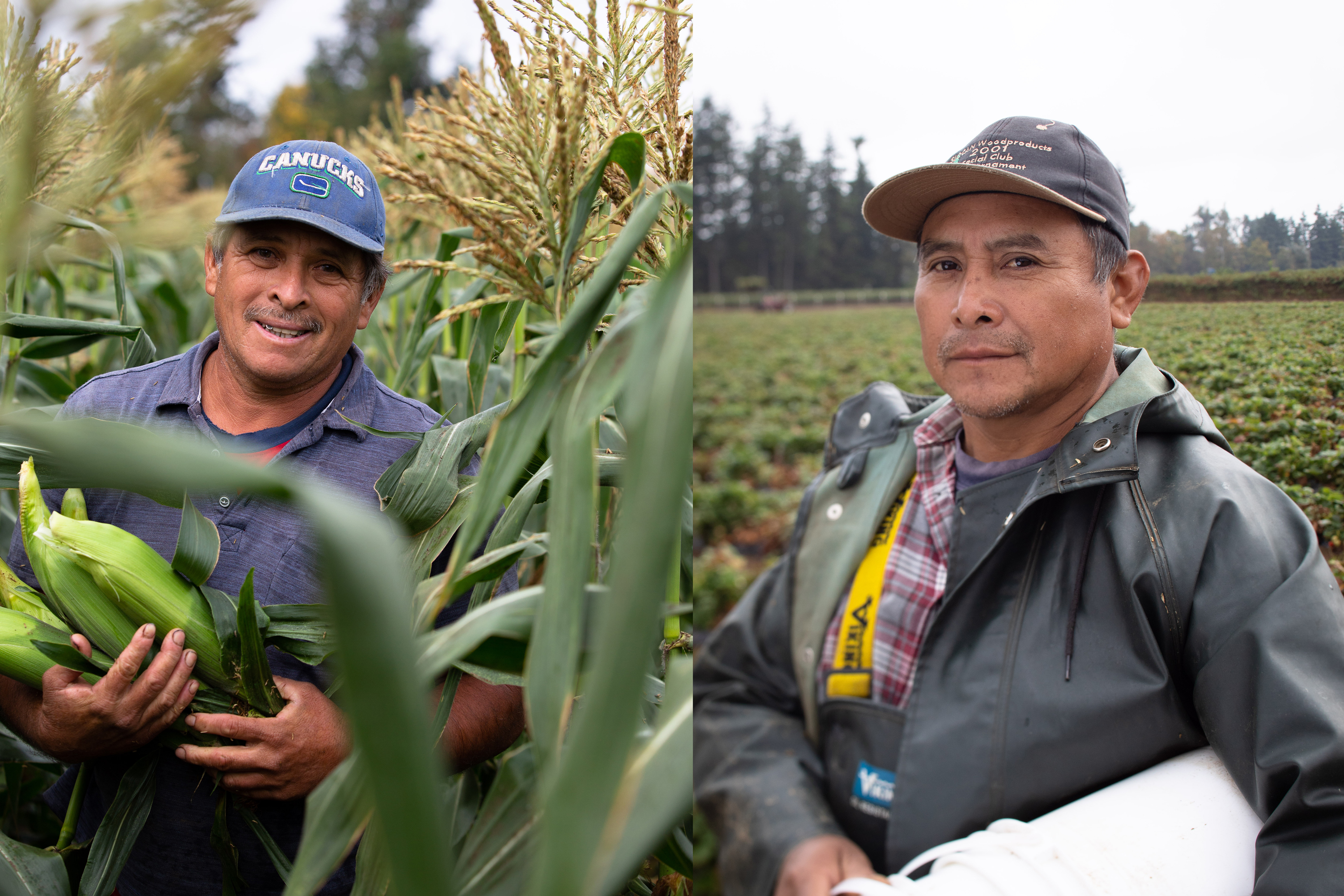 Miguel Lizama, left, and Manuel Can, pictured at Neufeld Farms in Abbotsford, B.C., on Sept. 9, 2019. They are migrant farm workers from Mexico working to send money back to their families. (Maggie MacPherson/CBC)