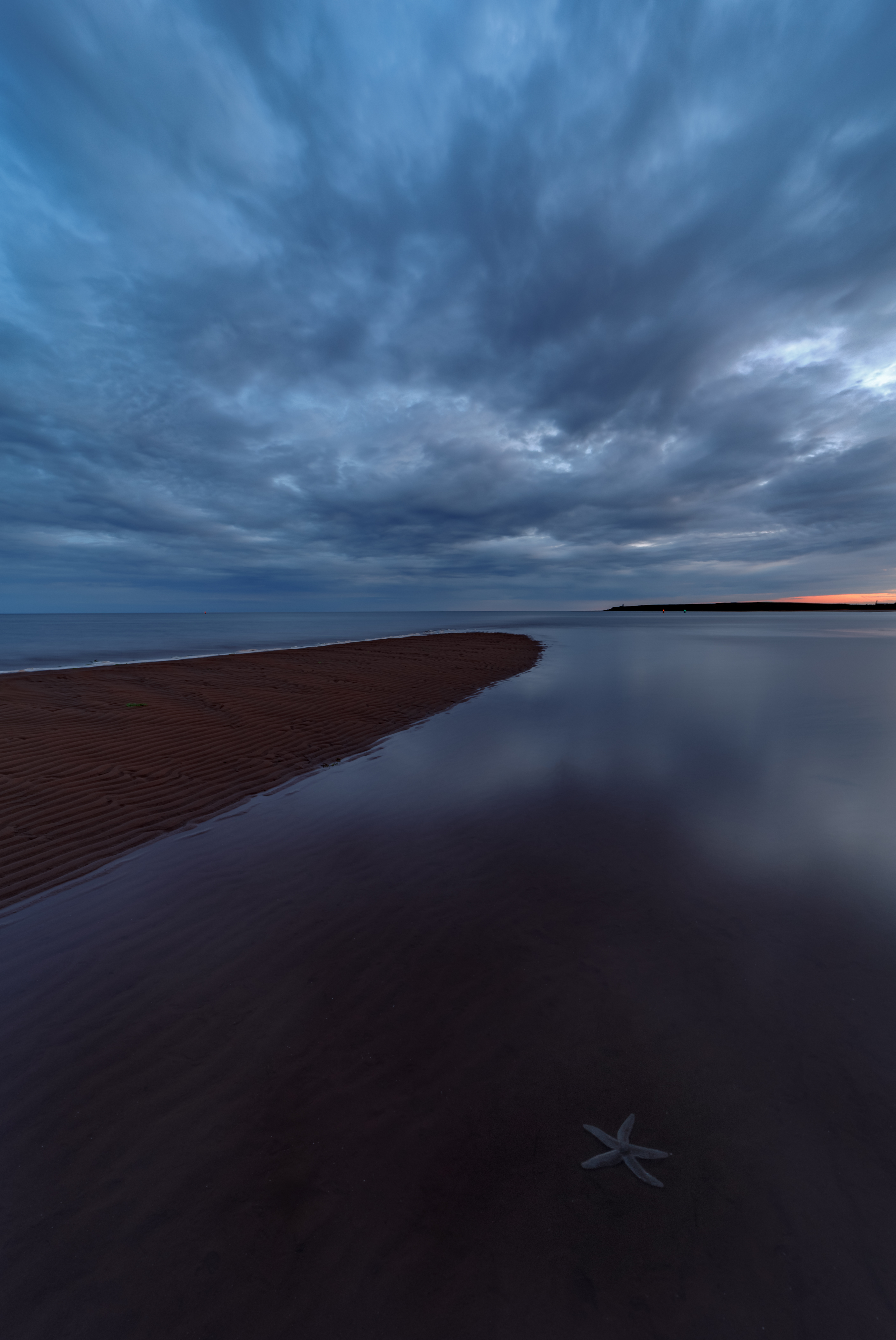 A single starfish works its way along the shallow waters and into the rising tide in Victoria. (Stephen DesRoches)