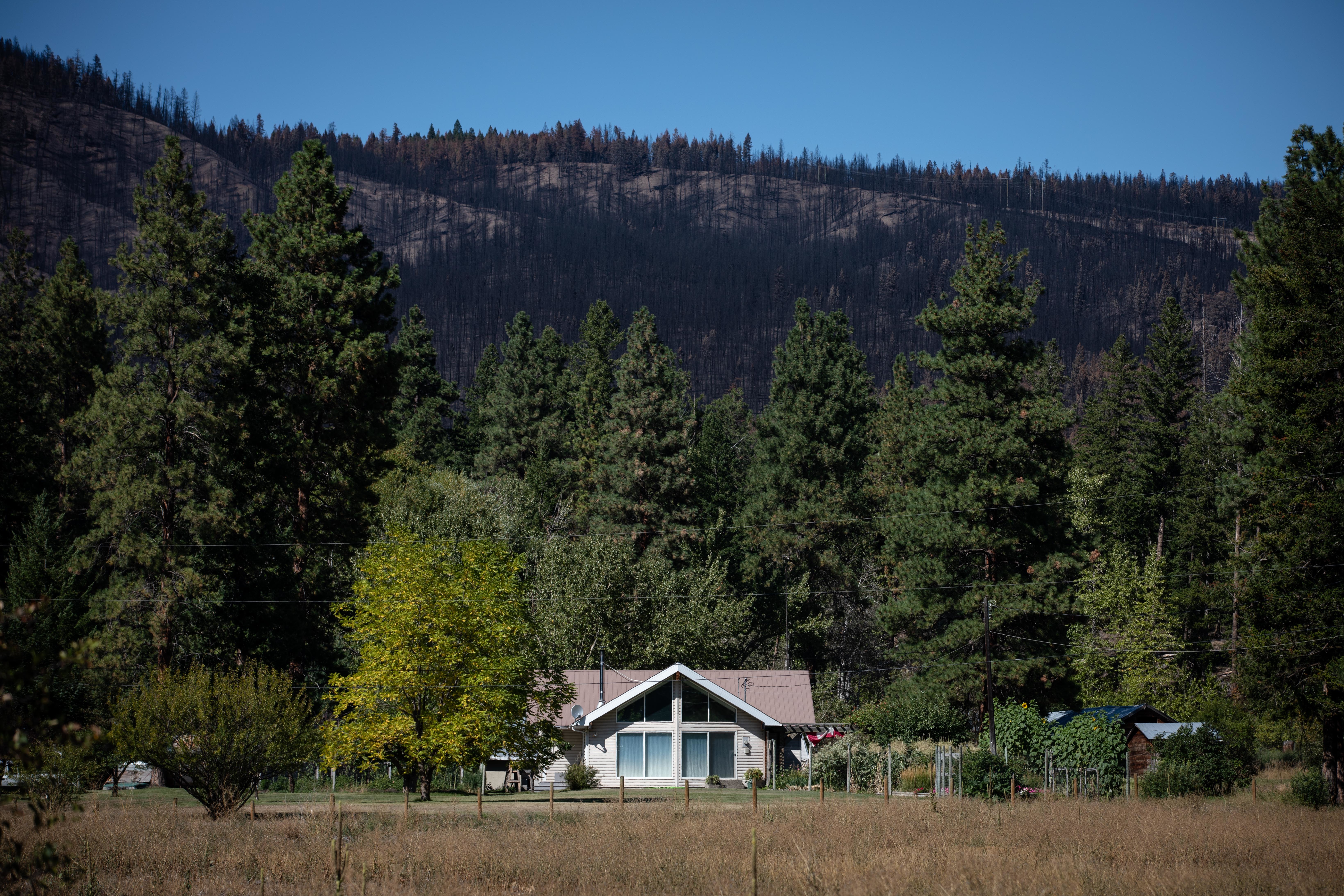 A house sits in front of a hill burned by the White Rock Lake wildfire near Falkland, B.C., on Sept. 2. (Maggie MacPherson/CBC)