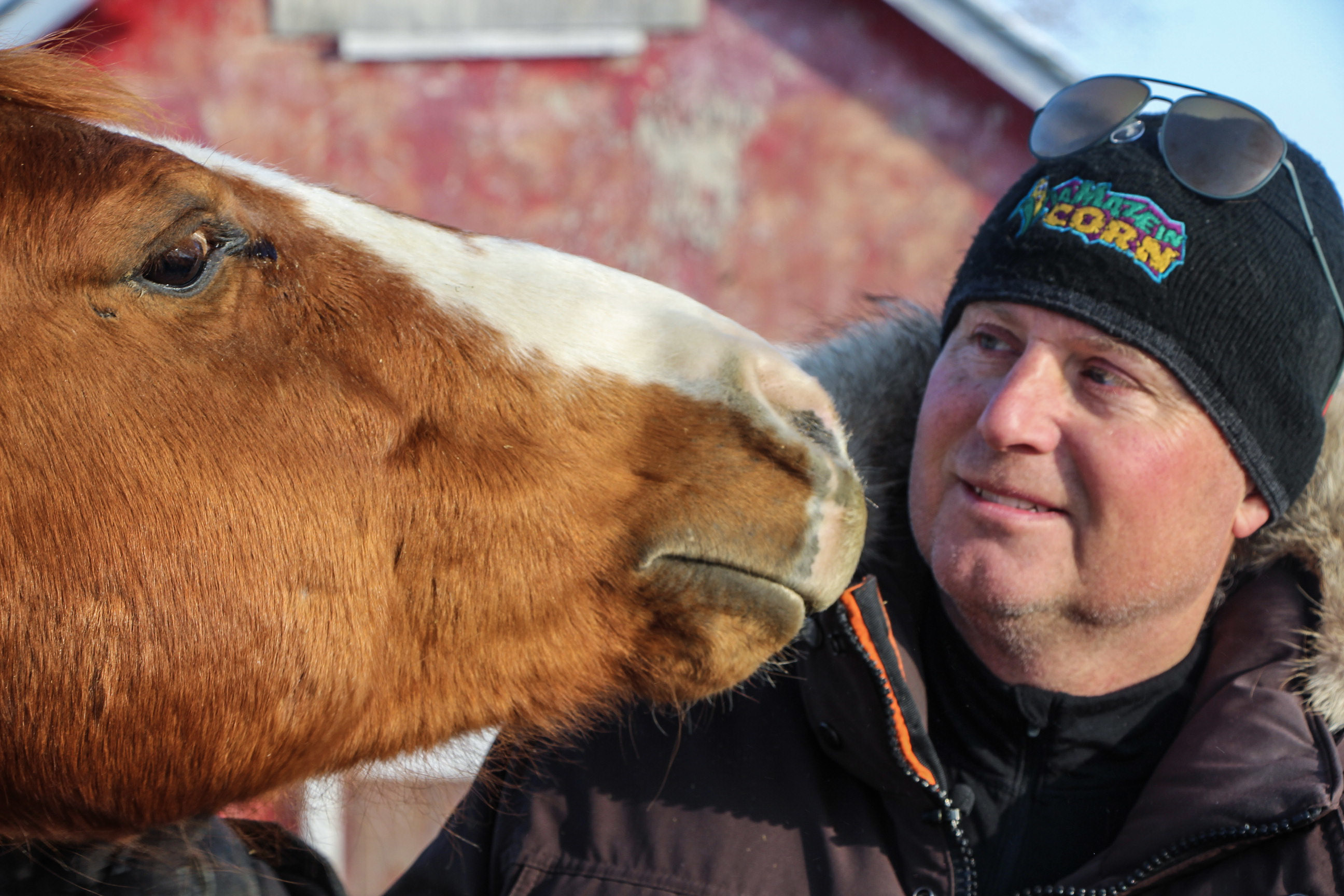 Clint Masse will relocate his horses during the flood season to ensure their safety. With the possibility of fighting another flood this year, Masse is already concerned about dealing with the cleanup. (Ahmar Khan/CBC)