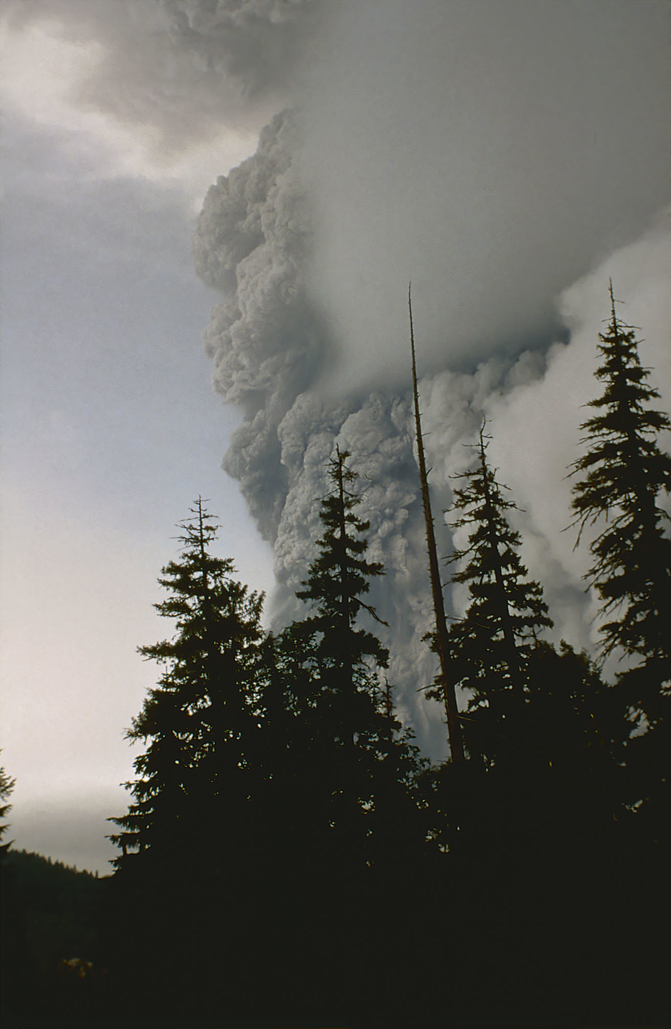 Catherine Hickson took this photo of the eruption as she and her husband raced away from the volcano's base. (Submitted by Catherine Hickson)