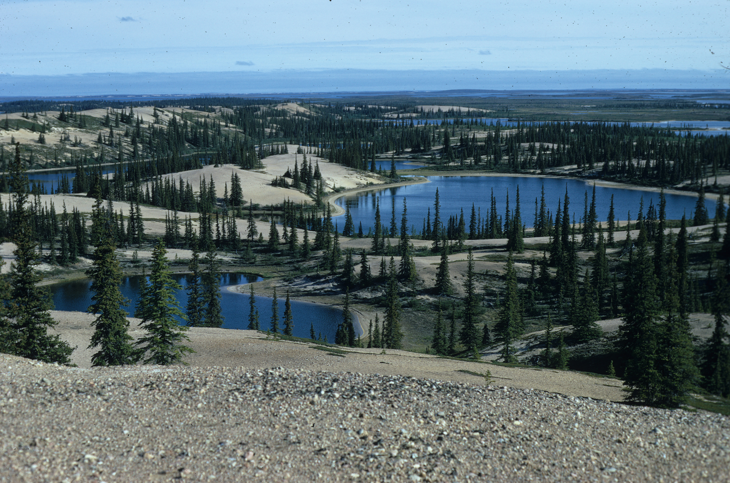 Elk River is in the N.W.T.'s Barren Lands, and is one entrance into the Thelon River. (Submitted by Alex Hall)