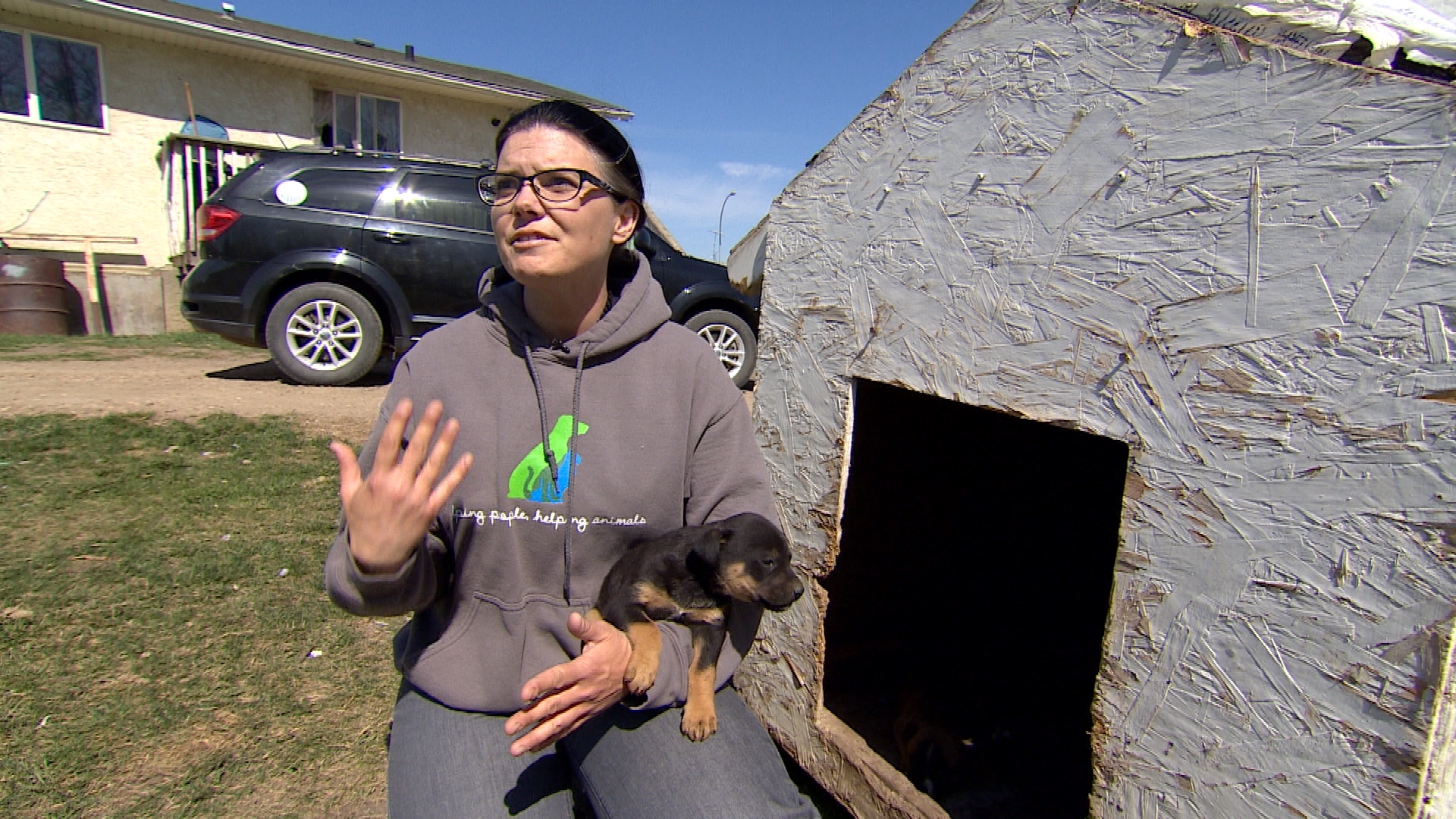 Alanna Collicutt with the Alberta Spay Neuter Task Force works with First Nations on dog care and control. (Sam Martin/CBC)