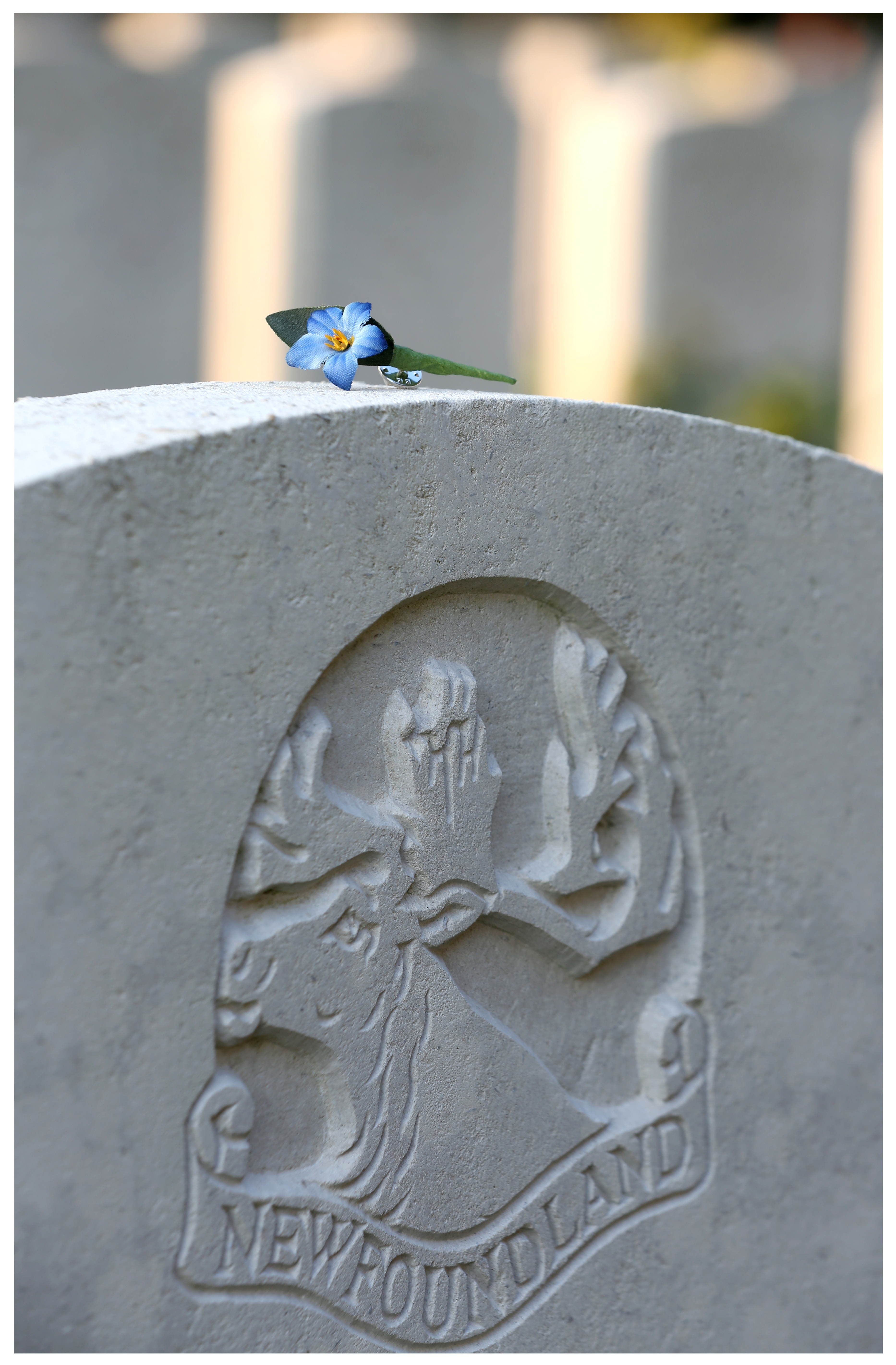 The Daly family brought commemorative Forget-Me-Not pins with them to France. The pins are modelled on the flower that has been a symbol of remembrance for more than a century. (Paul Daly) 