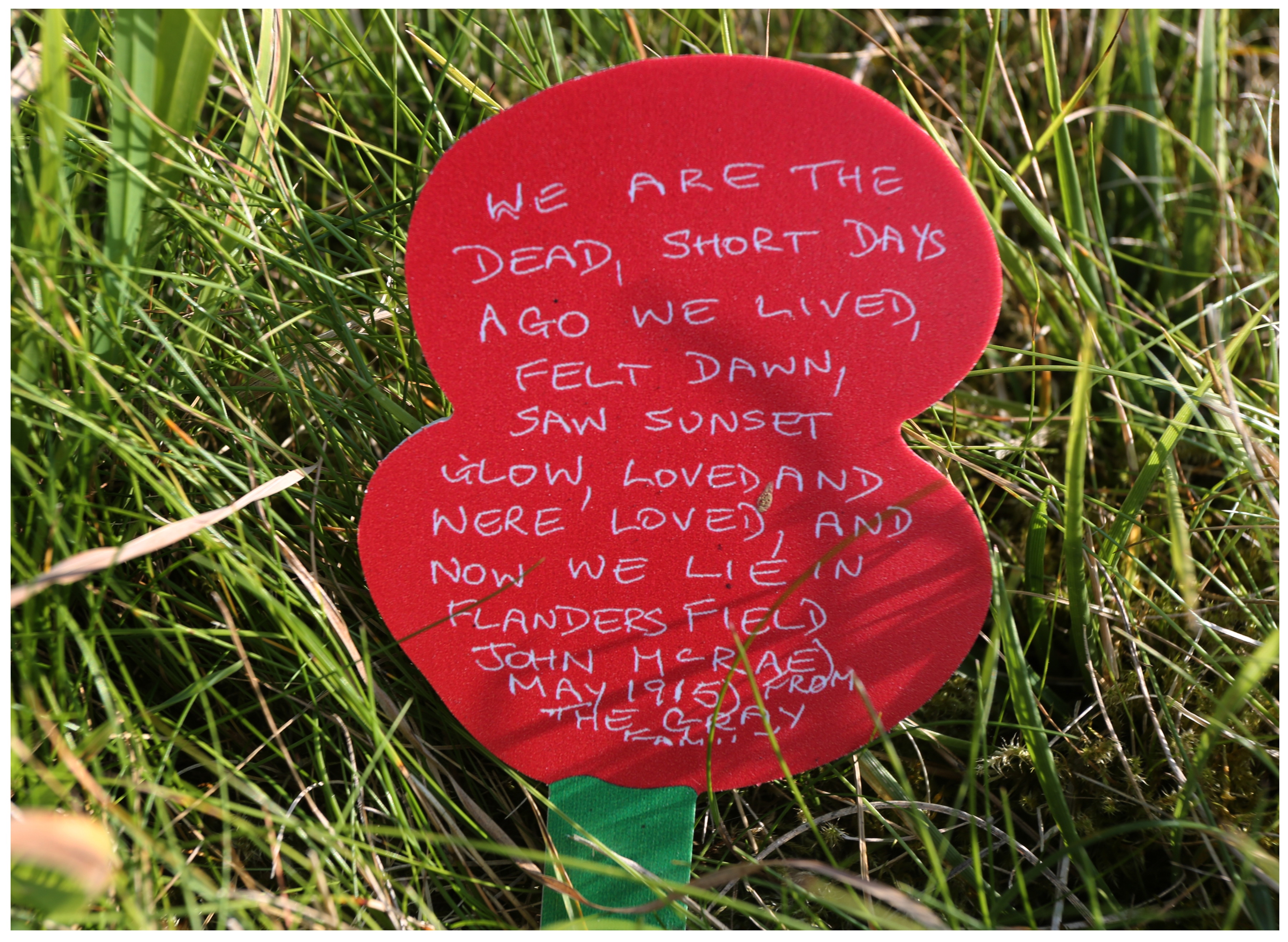 Not all of the poppies to be seen at Beaumont-Hamel are planted in the ground. This hand-made poppy was left at the monument. (Paul Daly.)