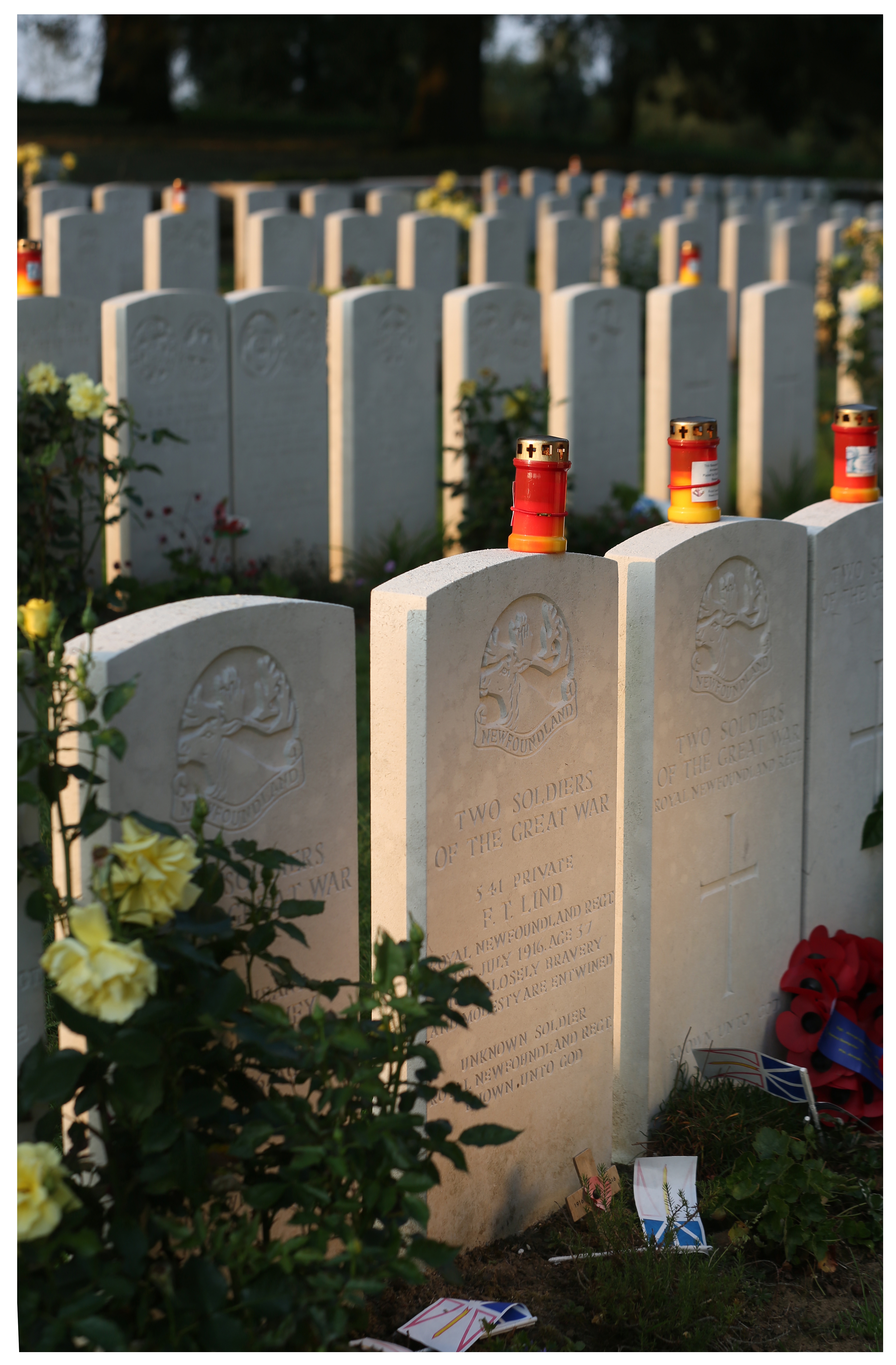 Among the 400 Allied casualties in the Y-Ravine Cemetery, the caribou-engraved headstones of the Newfoundland Regiment are easily recognized. (Paul Daly)