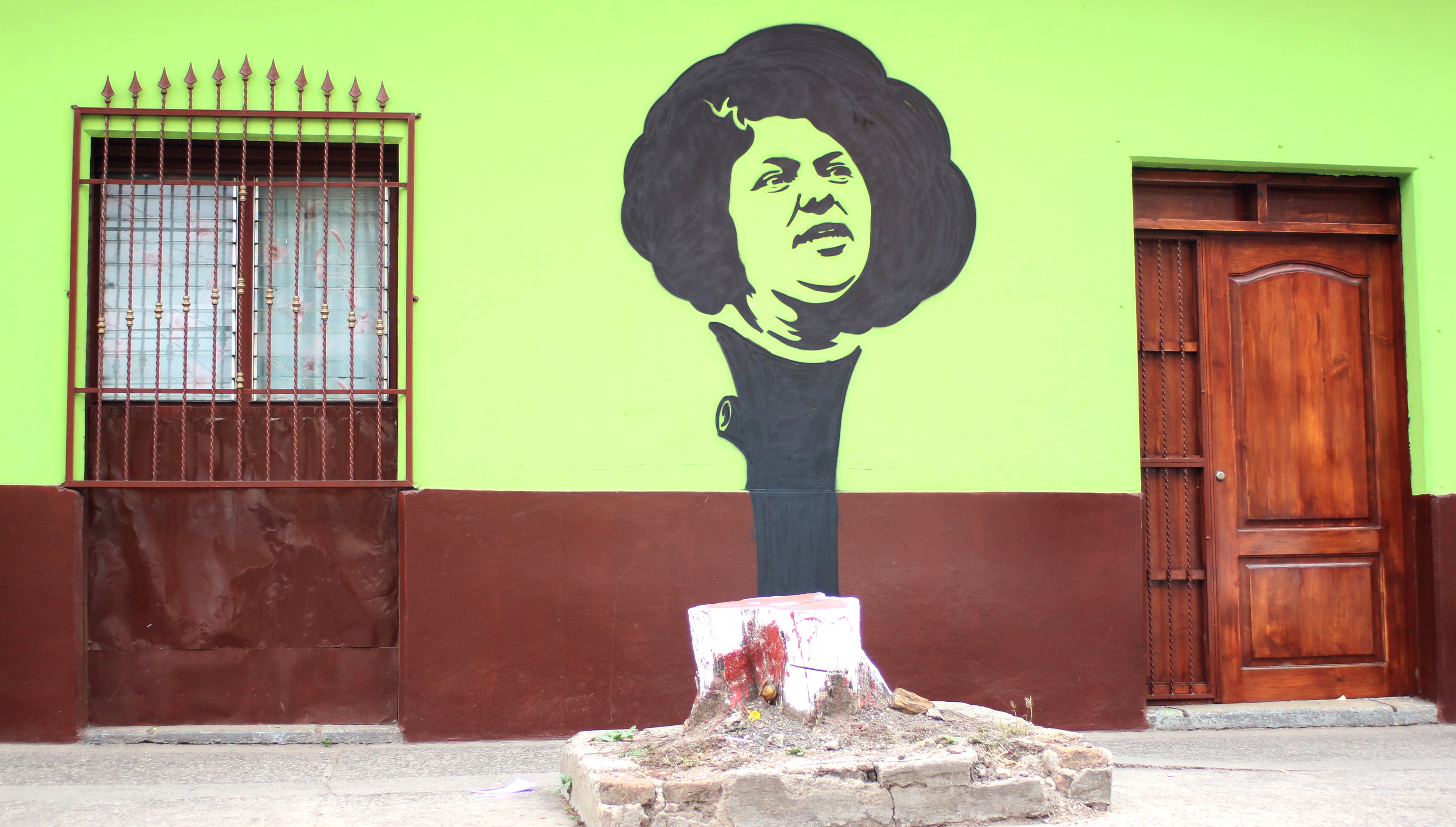 Maeztro Urbano, a street artist from Honduras, painted this stencil of murdered Indigenous hero Berta Cáceres, which seems to grow out of the remains of a tree cut down to keep it away from electricity lines in Tegucigalpa. (Maeztro Urbano)