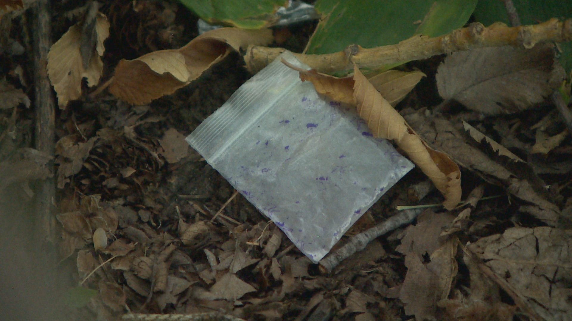 Baggies like this, commonly used in drug deals, are one of the thing the OPG routinely finds. (Matt Garand/CBC)