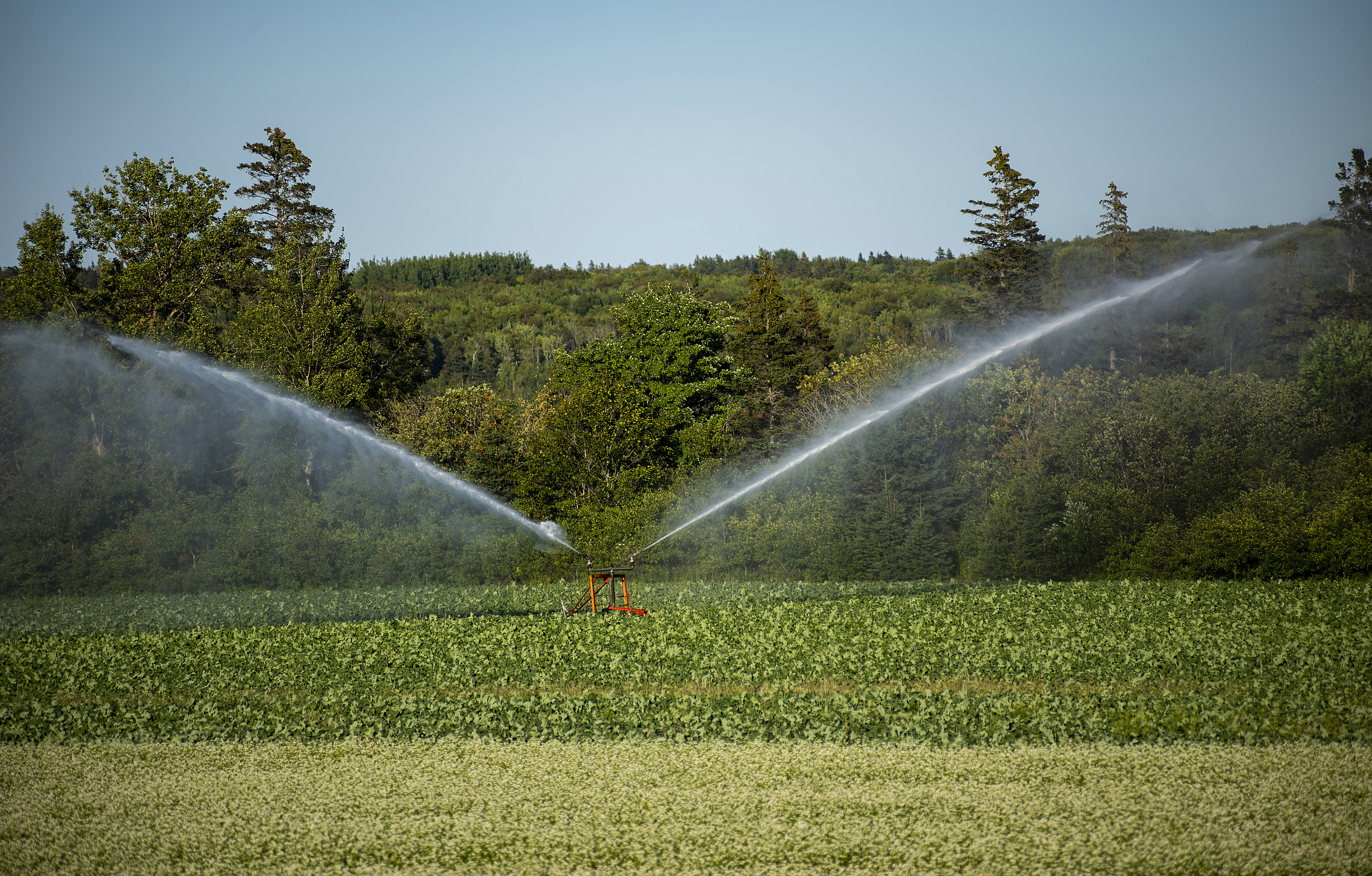 A crop irrigation system running near Brookfield. This summer was dry and extra water was needed. Brian McInnis/CBC