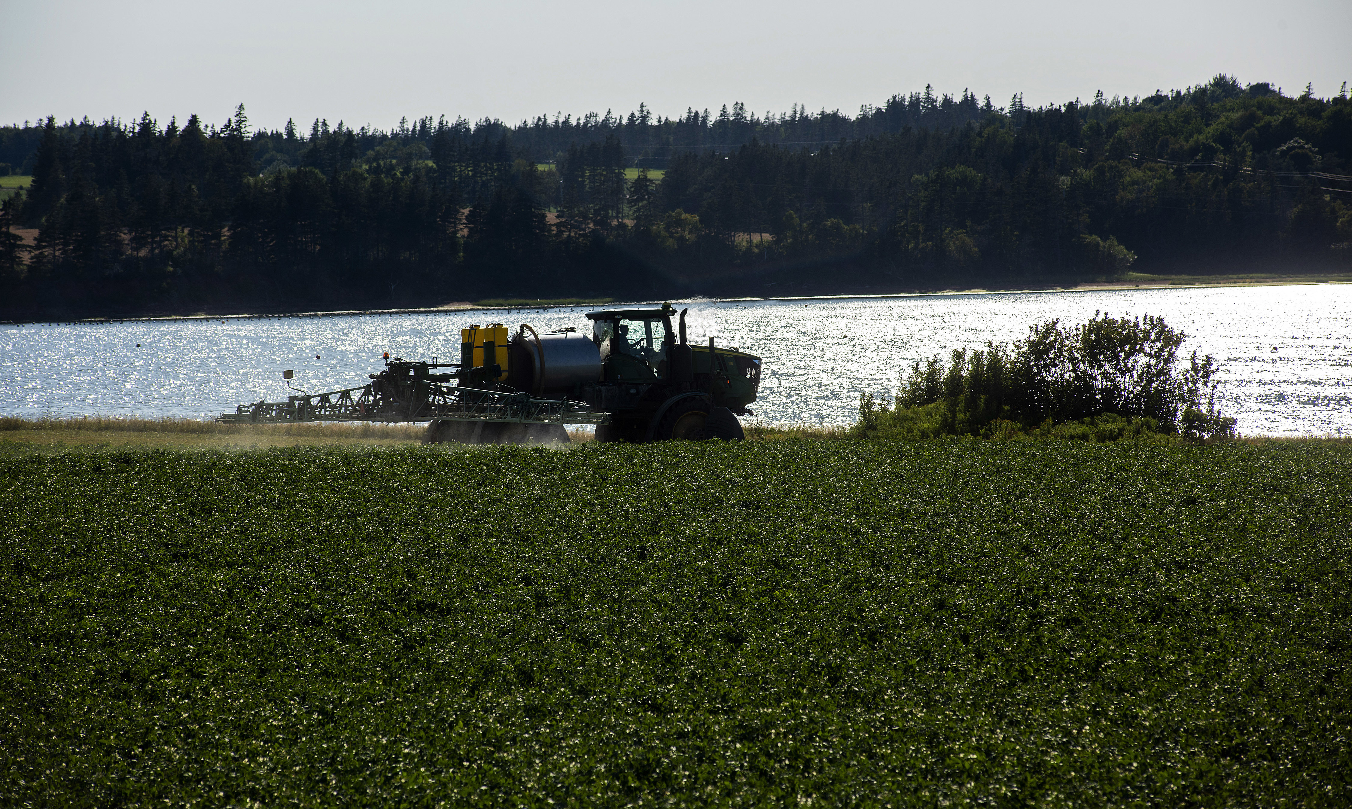 The waters of the Southwest River near New London silhouette a farmer as he sprays his potato field. Brian McInnis/CBC