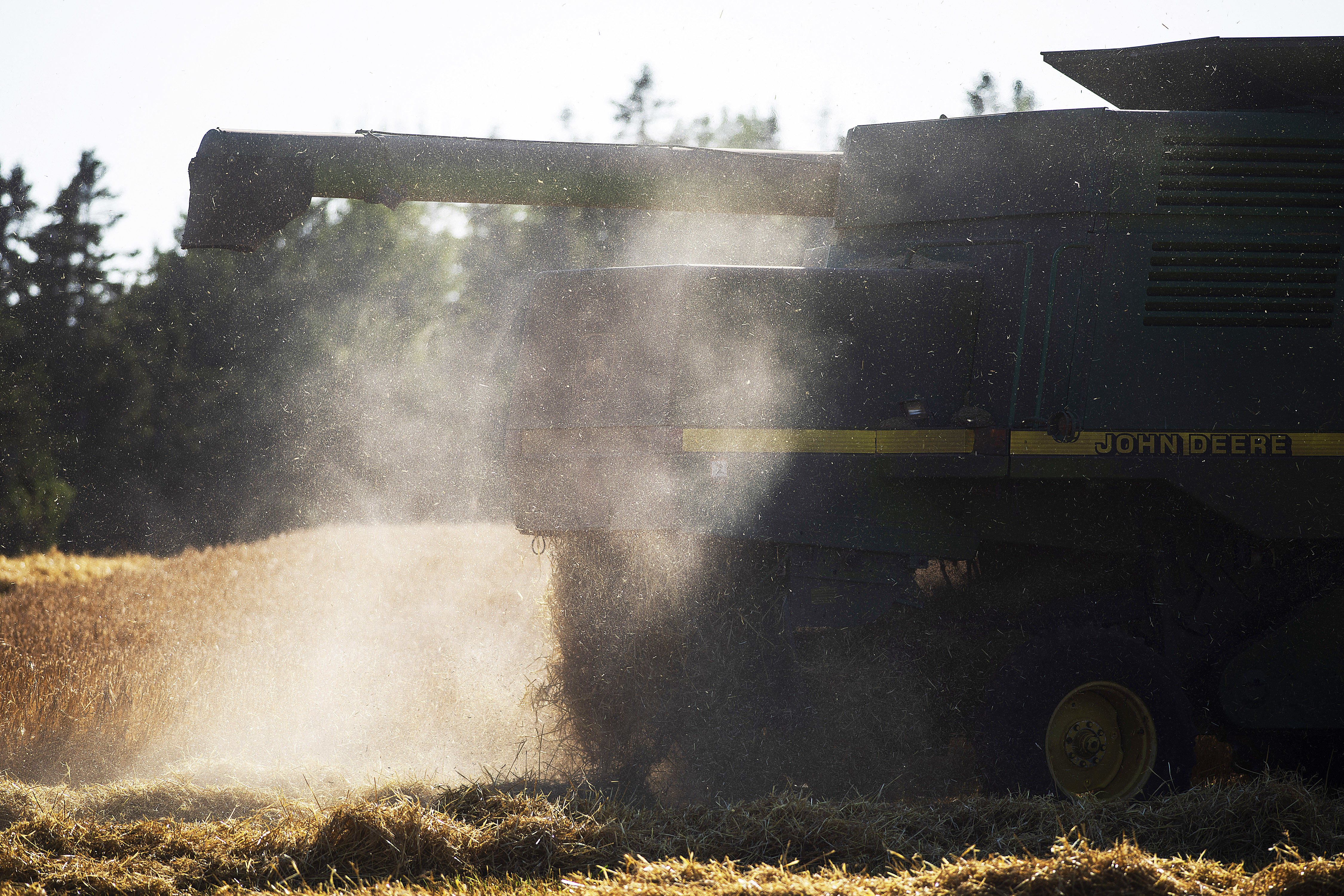 The setting sun makes the dust from the straw being harvested sparkle as a farmer completes an early harvest. Brian McInnis/CBC 