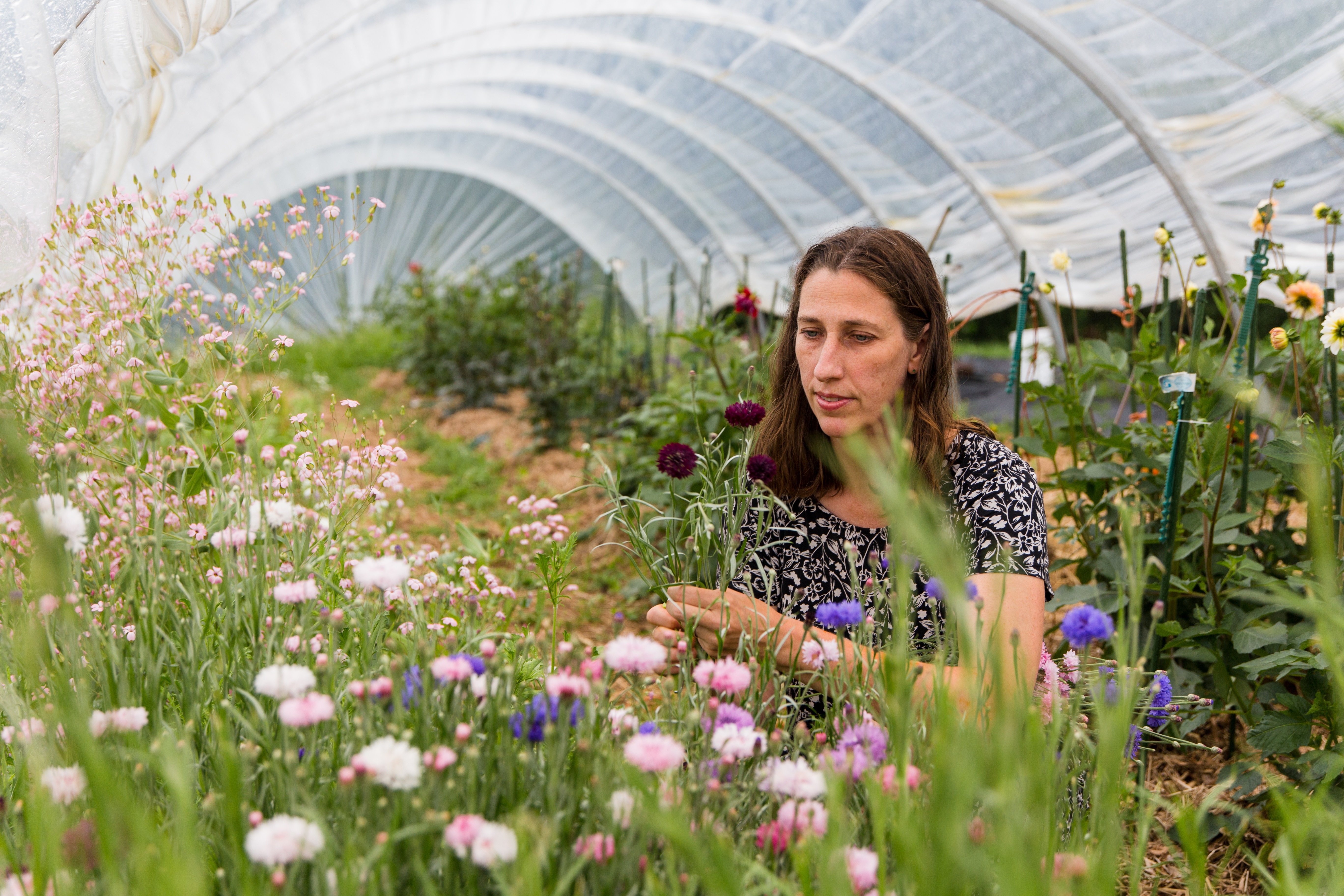 Denise Stockdale didn't grow up on a farm, but now owns Barefoot Blooms.