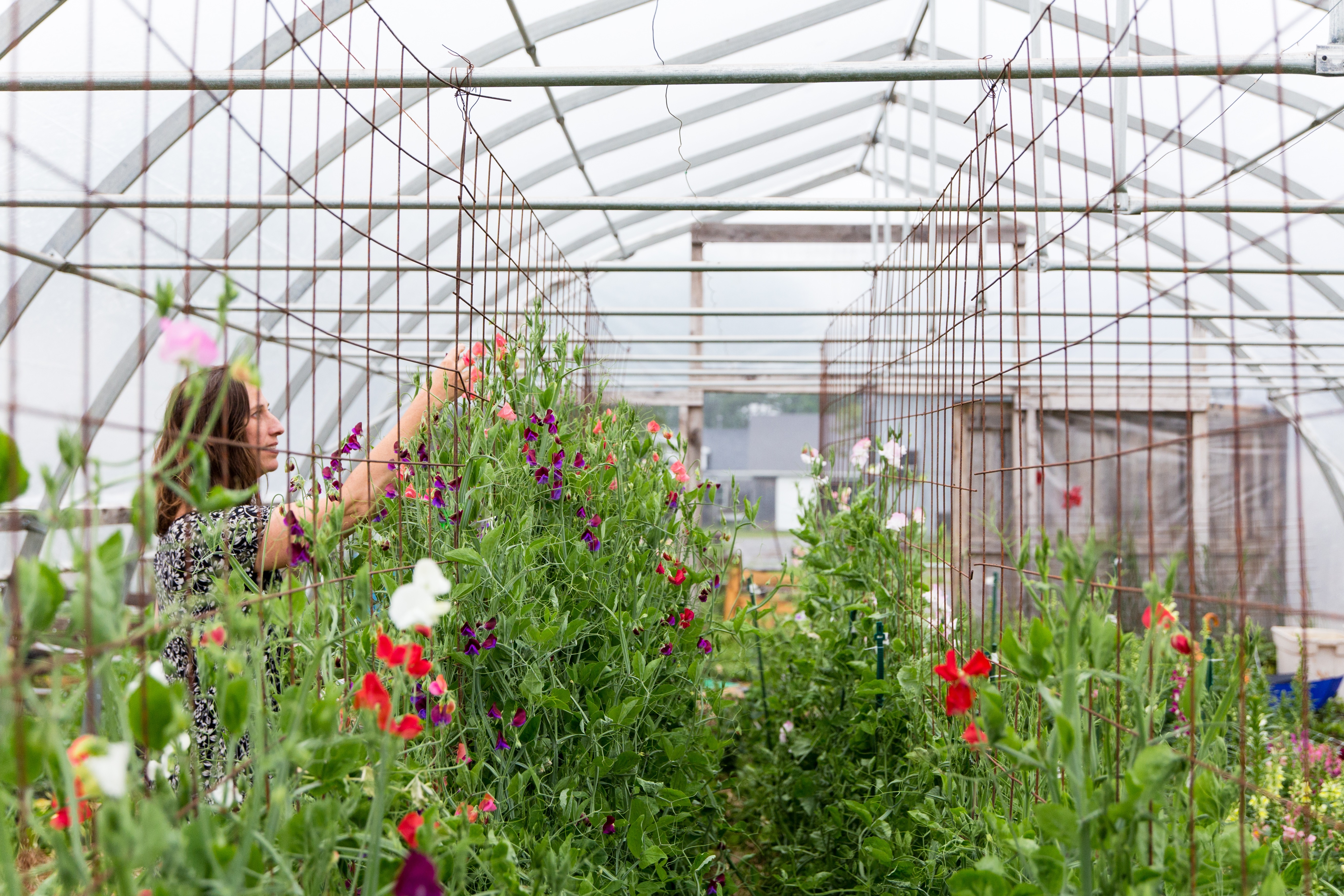 Wedding clients are invited to visit and experience the gardens when choosing their flowers.