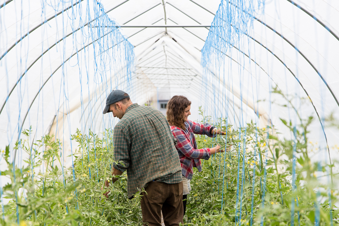 Sweet Fern Farm is located on Nova Scotia's South Shore.