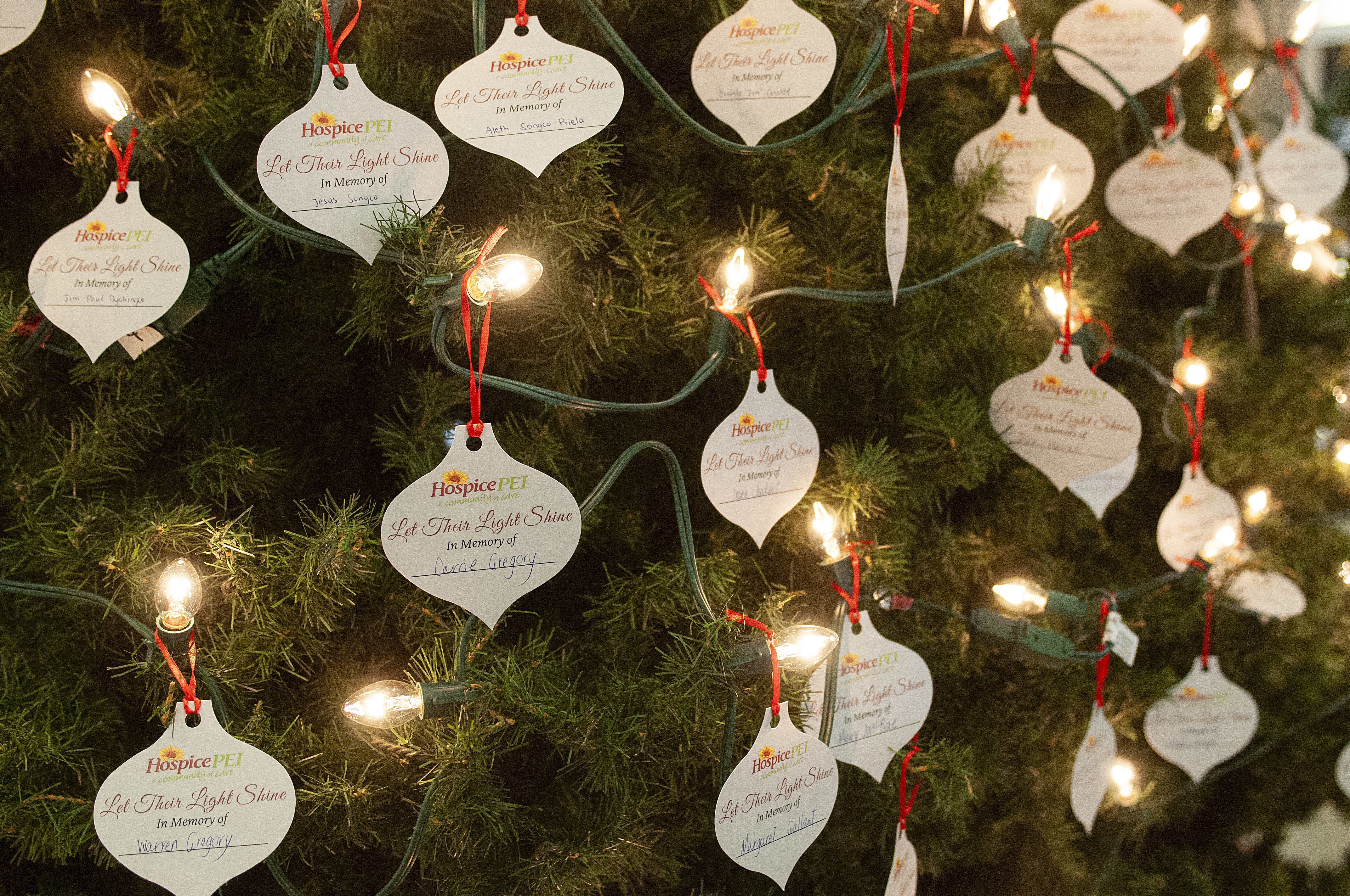 The Christmas trees at the Charlottetown Mall are covered with tributes from people who have lost loved ones to cancer. The annual event is hosted by Hospice P.E.I. (Brian McInnis/CBC)