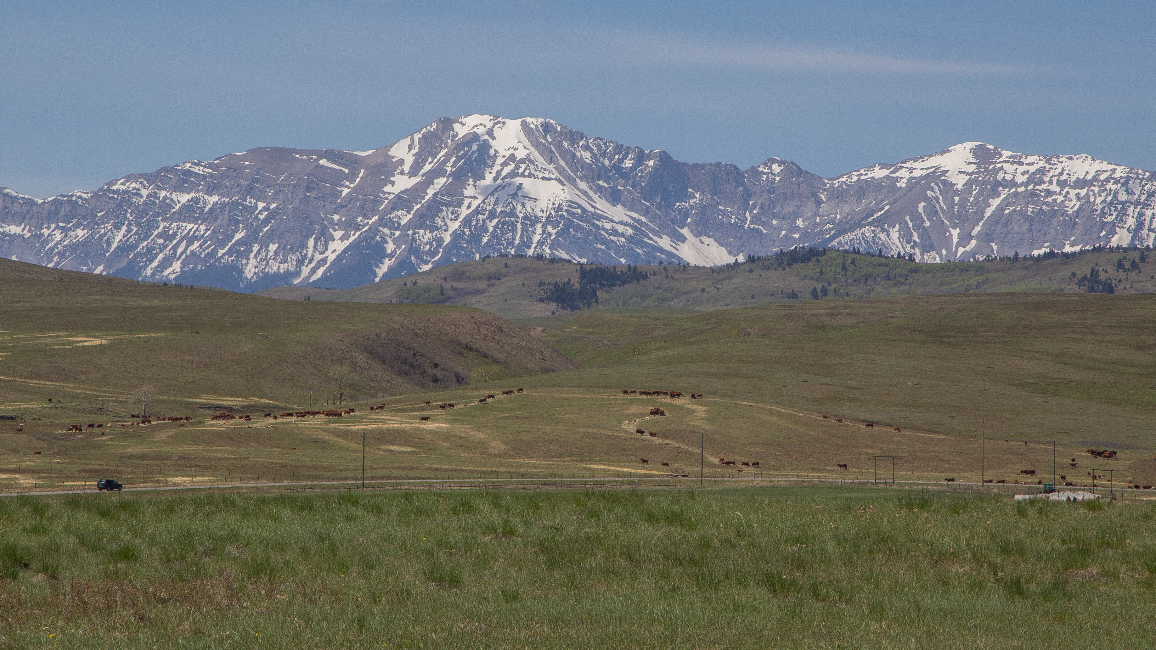 Grassland, ranchland, foothills and snow-capped mountain peaks in southern Alberta. (Robson Fletcher/CBC)