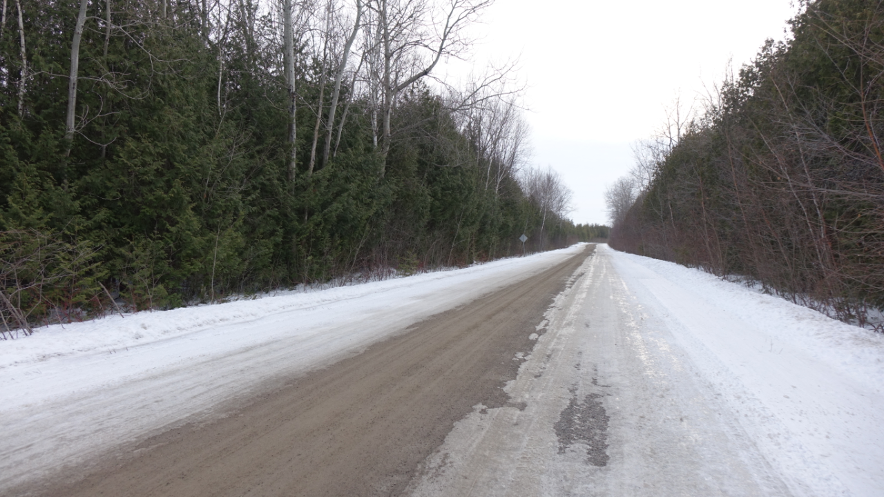 The road between the Allan house and the former Finn homestead on Pigeon Lake. (Julie Ireton/CBC)