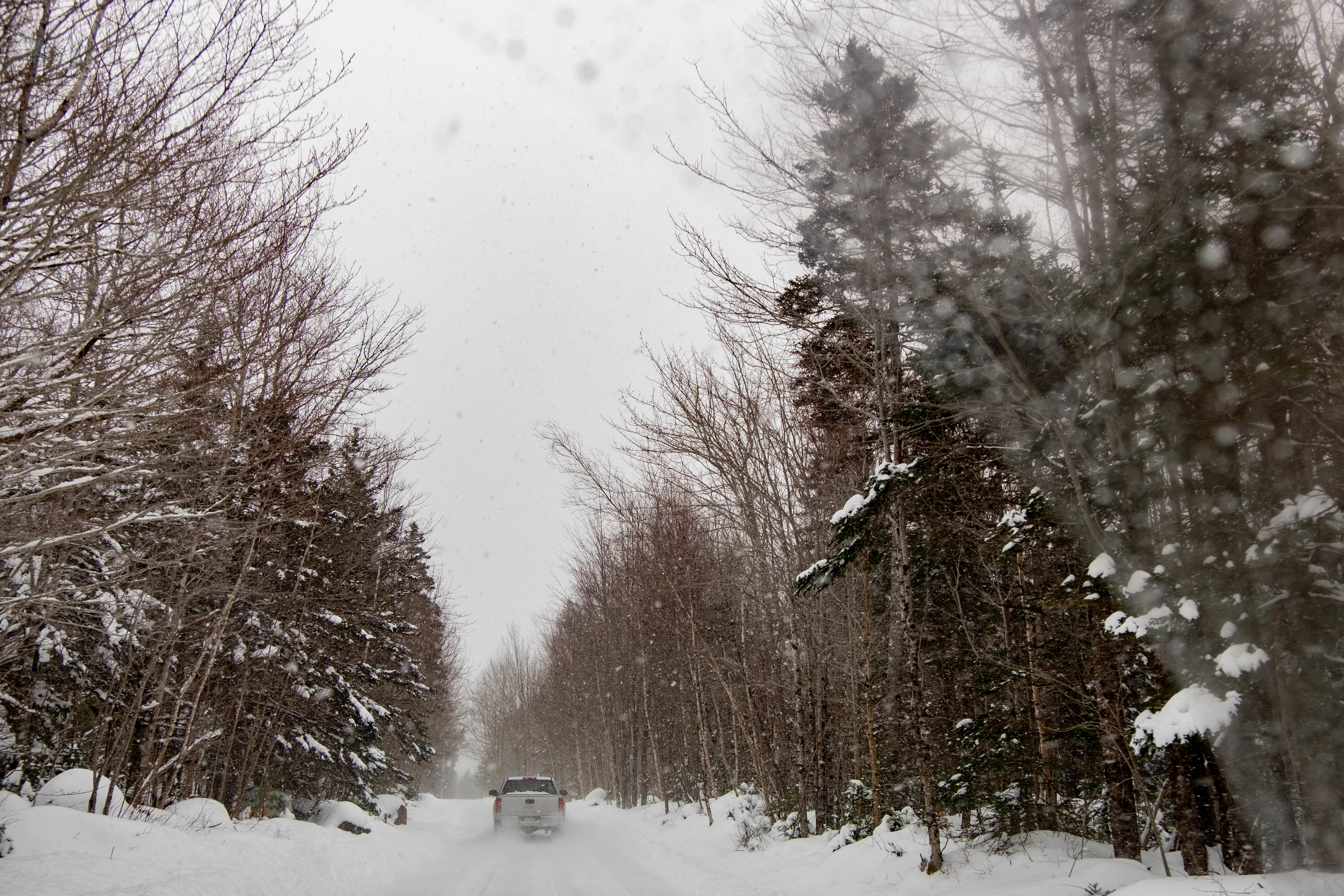 The reserve is located not far from Digby, N.S. (Natalie Dobbin/CBC)