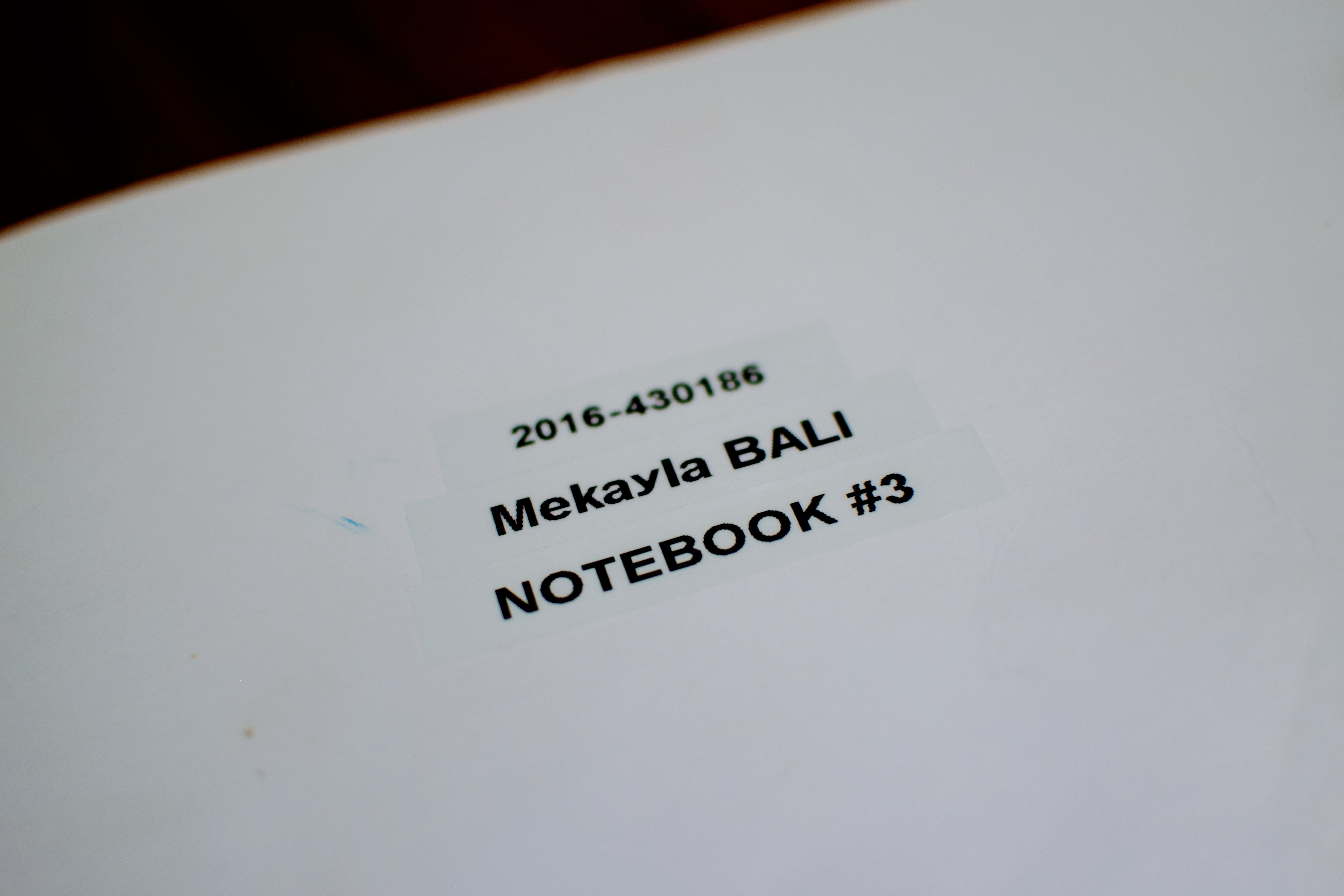 One of the RCMP's notebooks on the Mekayla Bali case. Photo: Alicia Bridges