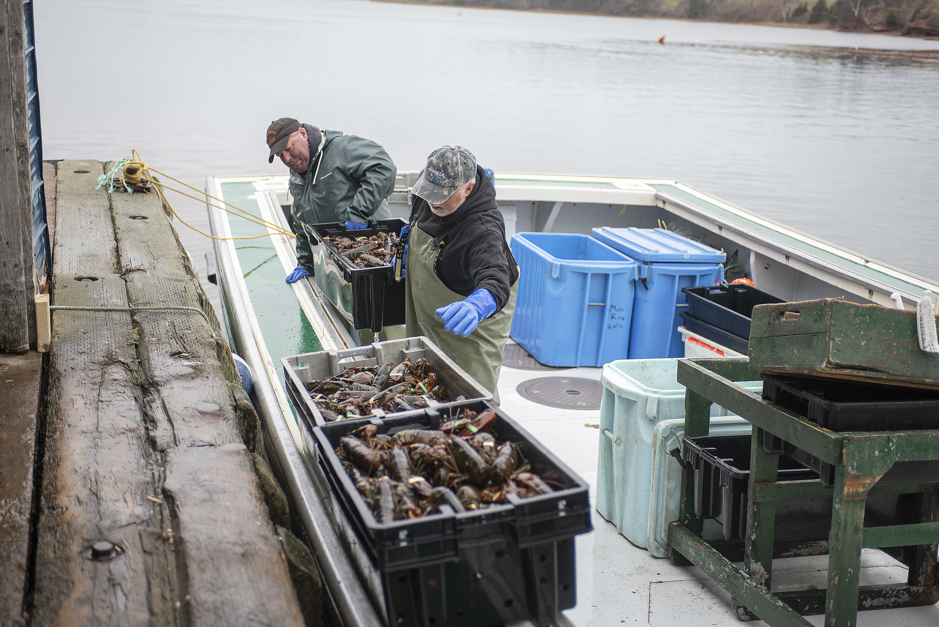 The crew of Miss Bay View unload their cargo. Some fishermen don’t like to be identified for fear other fishermen will determine the size of their catch, said Brian Paynter, owner of French River Fisheries. With a sly smile he said ‘it can be a cutthroat business.’ (Brian McInnis)