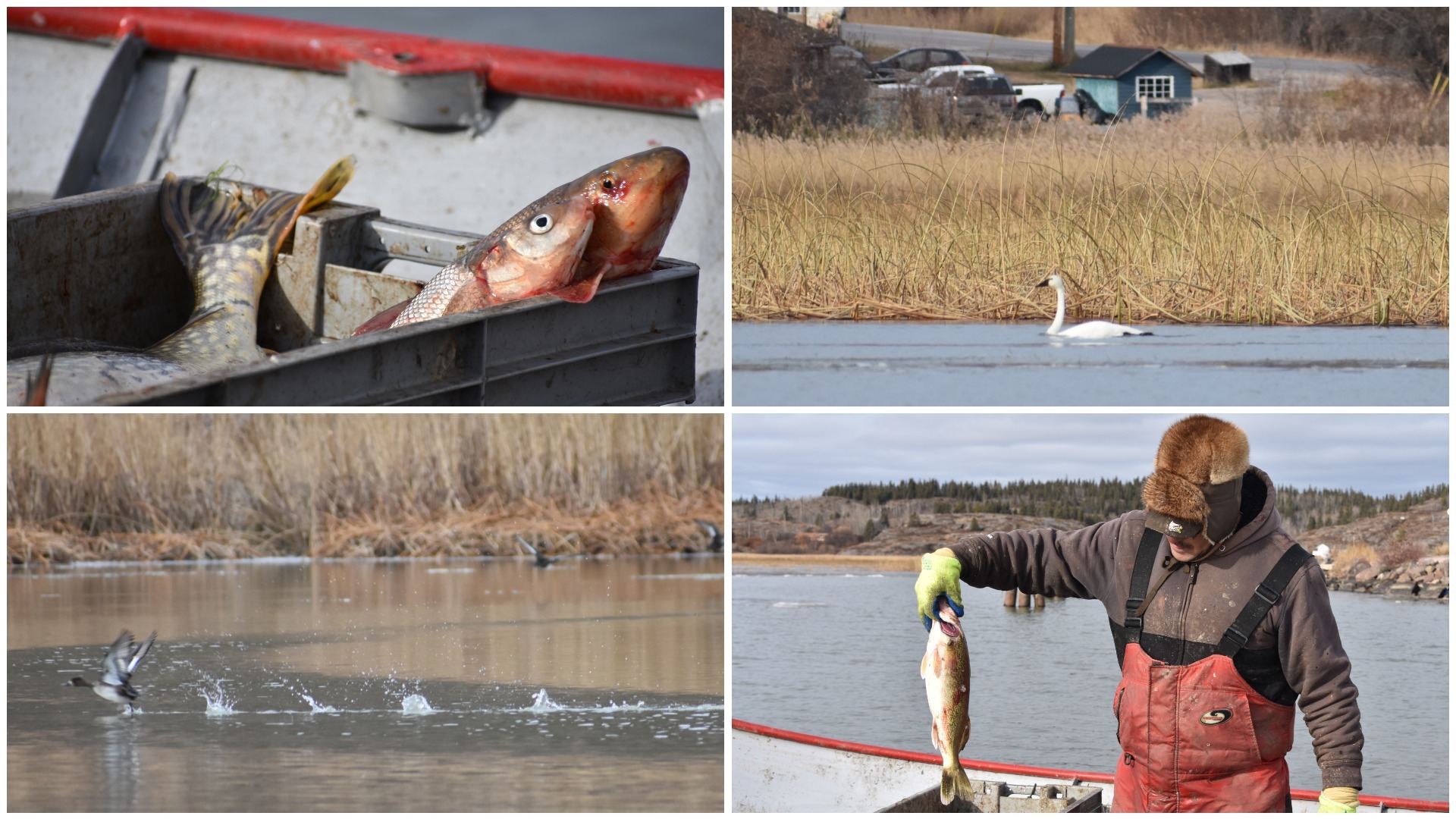 Residents say they've noticed a drop in water levels and a reduction in the number and species of fish and other wildlife. (Geneviève Normand/CBC Radio-Canada)