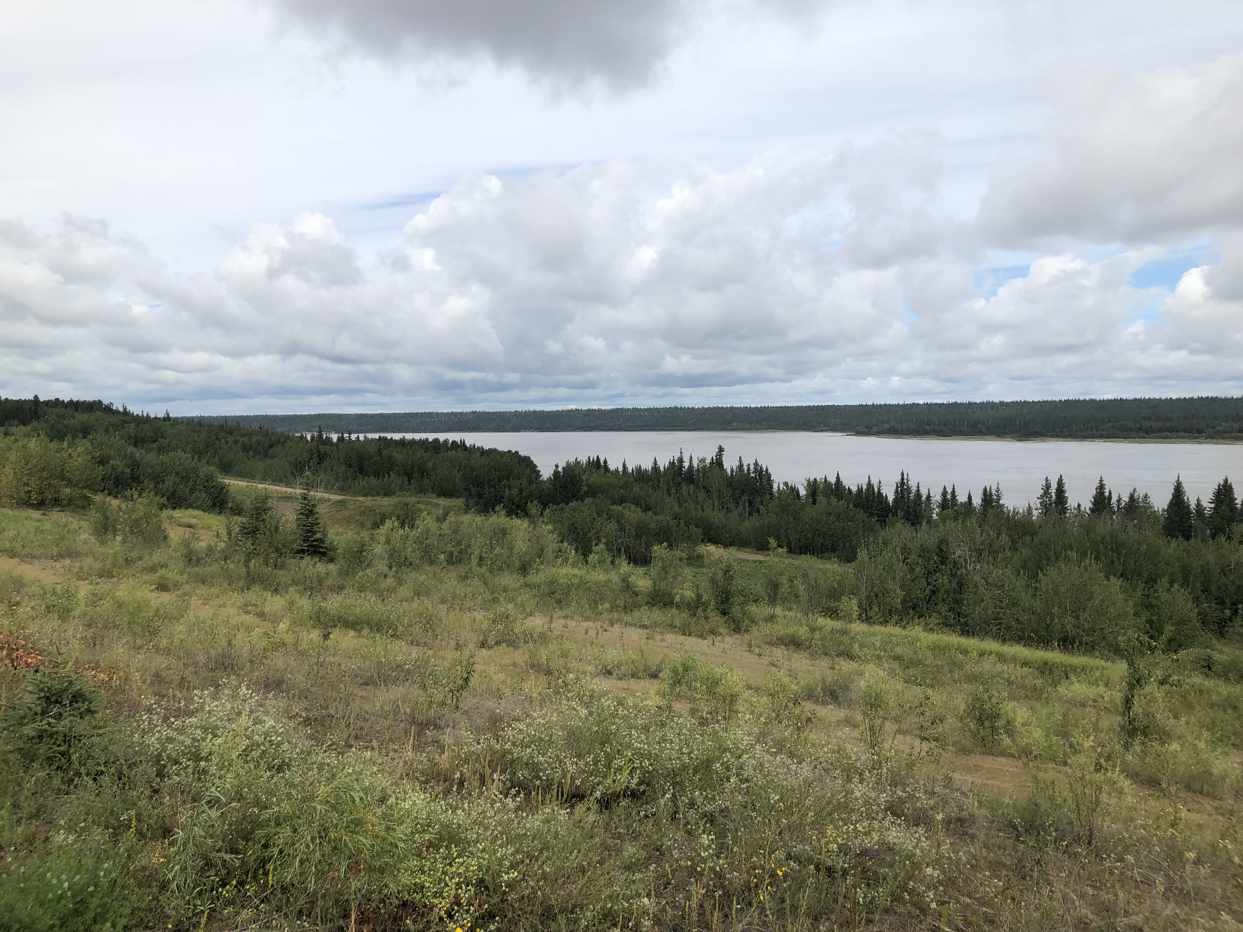 This is the area as it looks today. It used to be dotted with rows of houses in an area known as the Indian Village. (Rachel Zelniker/CBC)