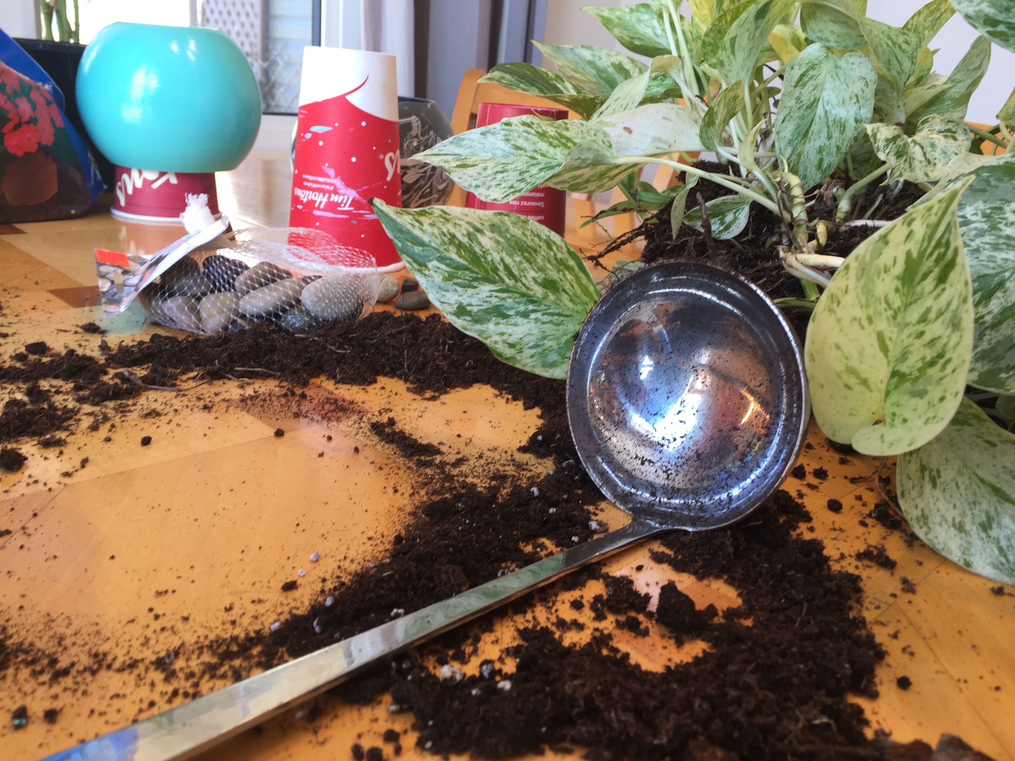 Creating the potted hanging planters is certainly a messy process, and Shila Pennell needs a lot of table space to do it. (Stephanie Tobin/CBC)