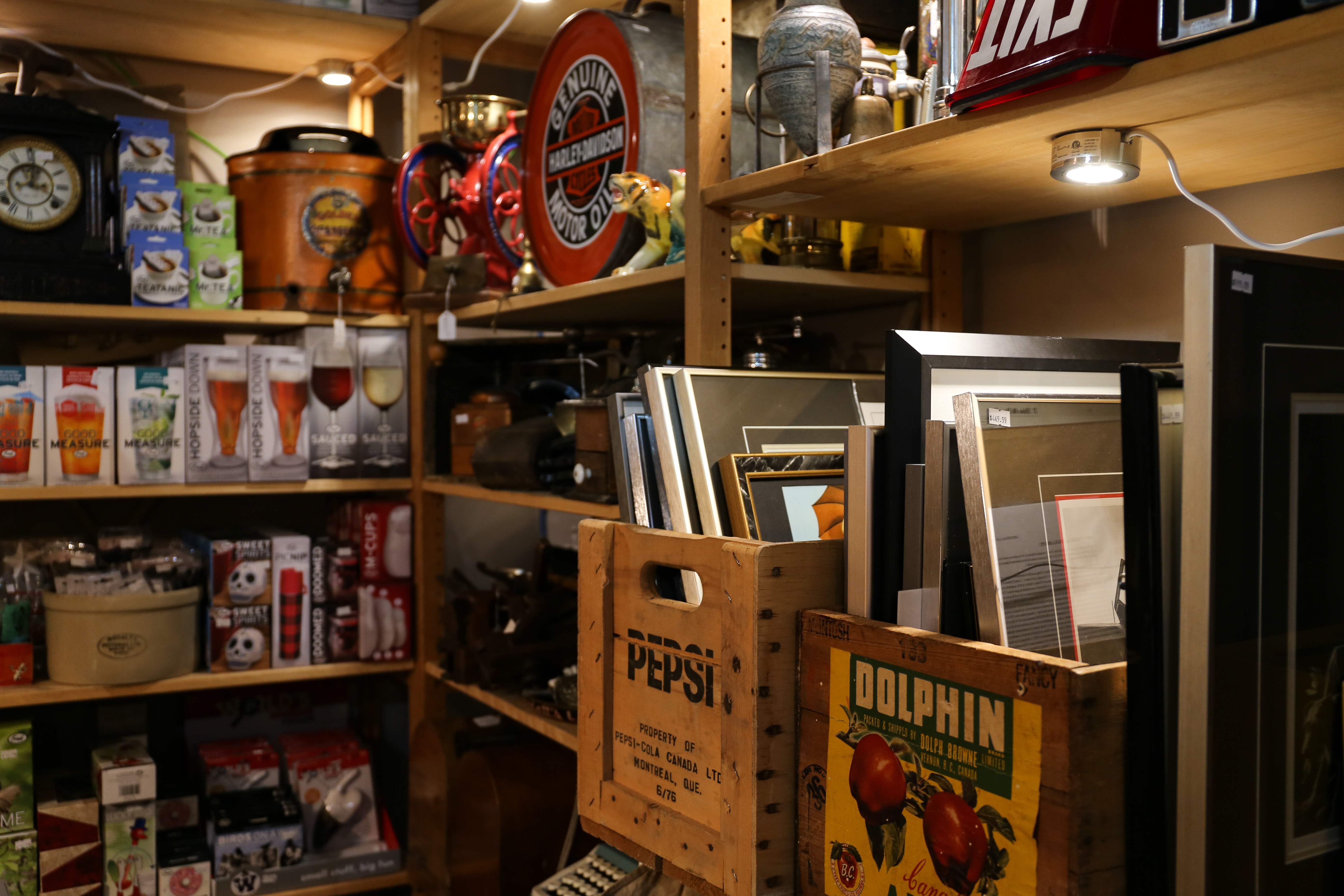 Curiosity Inc. sells everything from old records and vintage clothing to collector's items. (Emily Rendell-Watson/CBC)