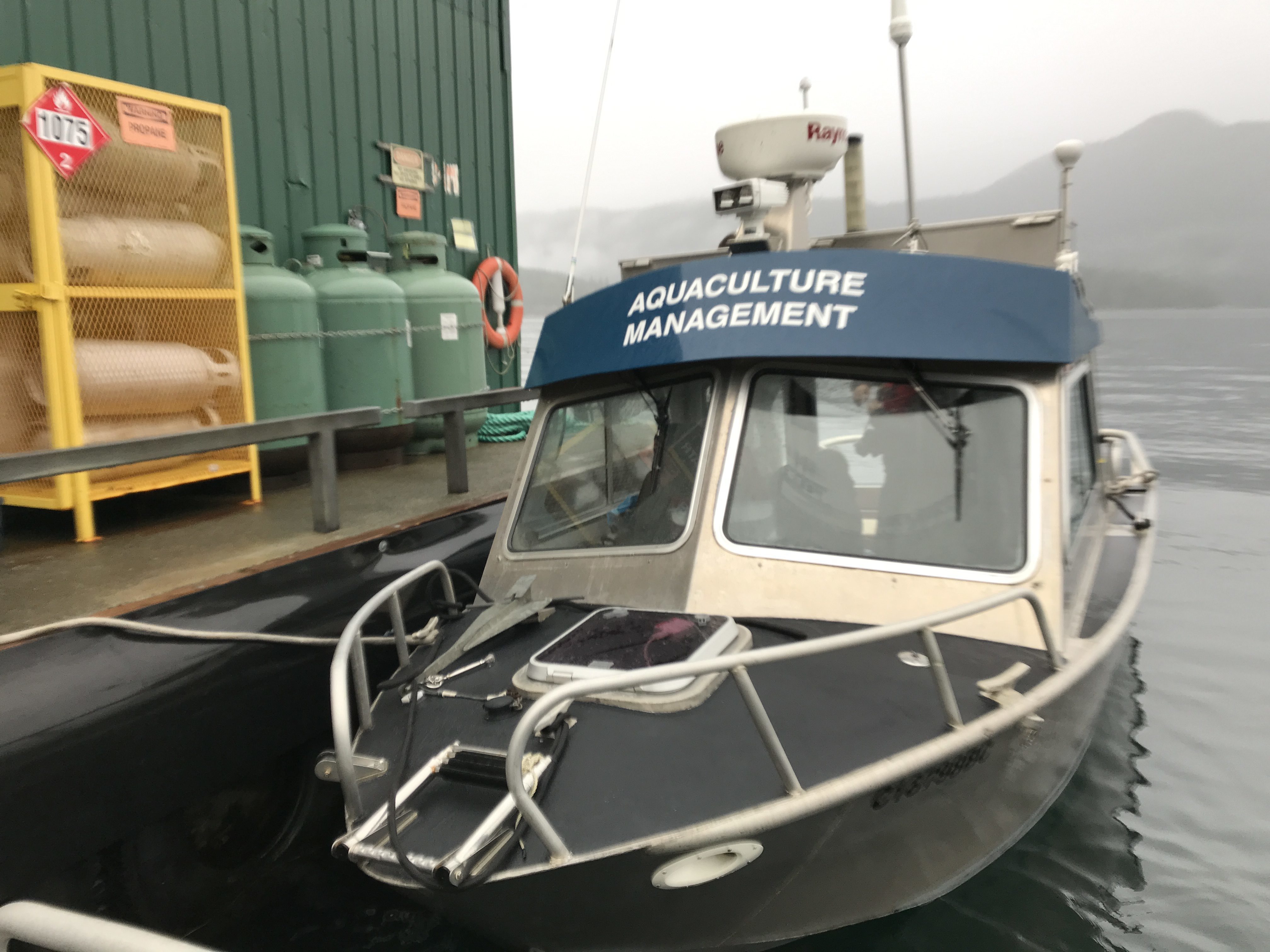 DFO officials conduct fish health audits at dozens of B.C. fish farms each year. (Megan Thomas/CBC)