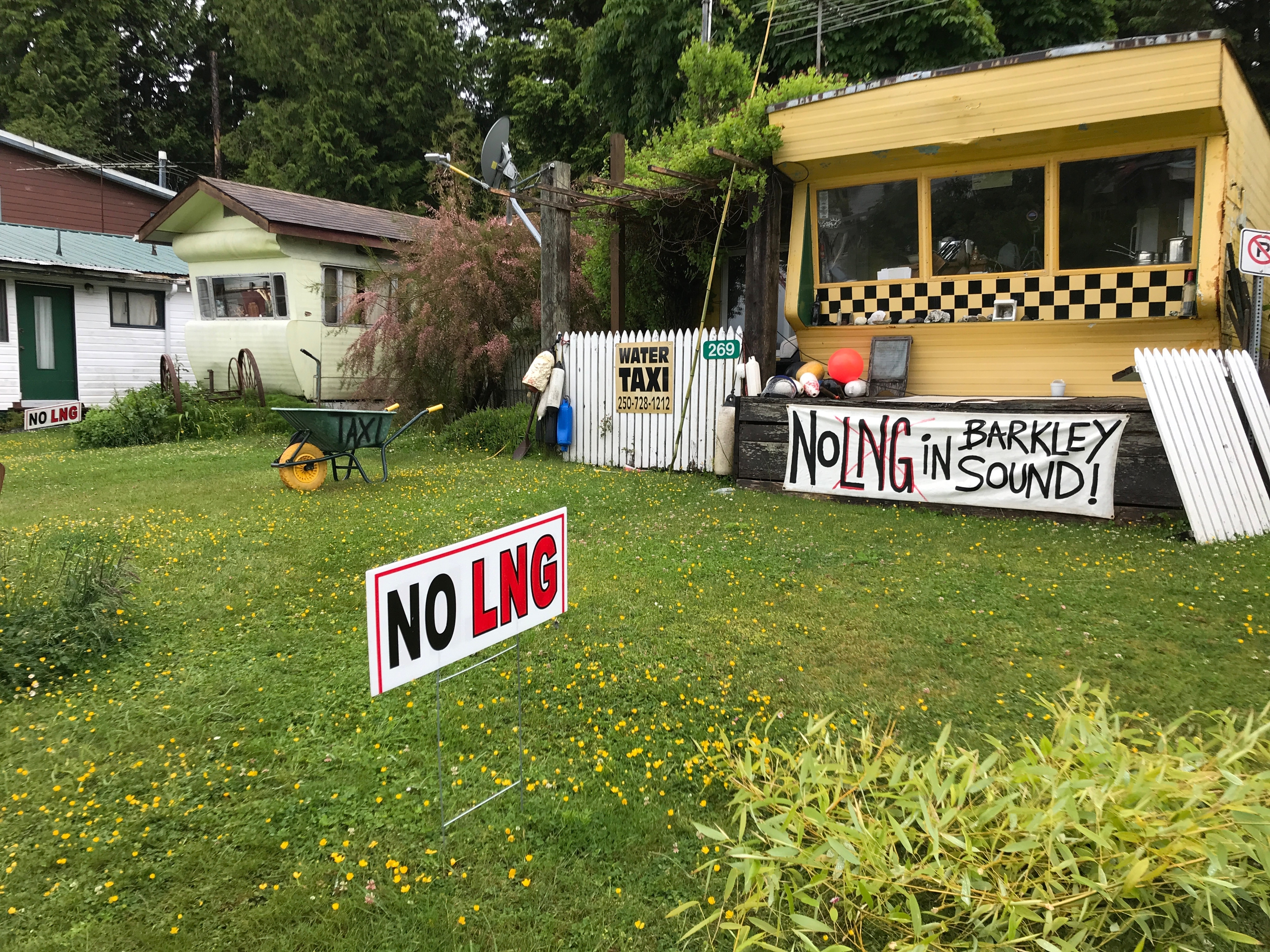 A proposal for a liquified natural gas facility near Bamfield has met with some resistance (Megan Thomas/CBC)