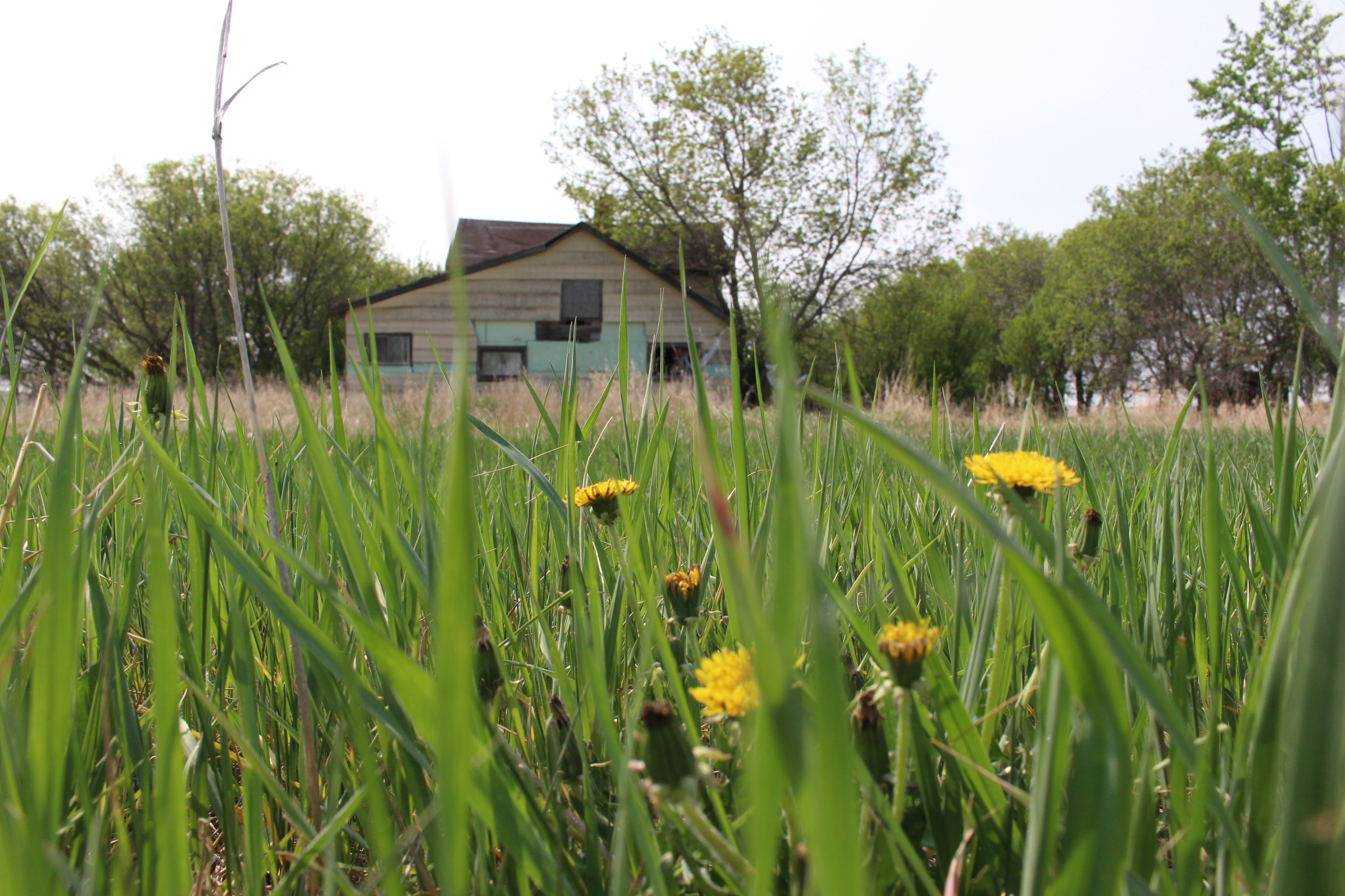 Greg Fertuck's childhood farmhouse. (Victoria Dinh/CBC)