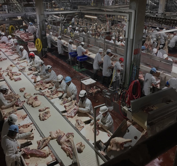 Workers prepare beef to be packaged at the Cargill facility near High River prior to the COVID-19 outbreak. (Submitted by name withheld)