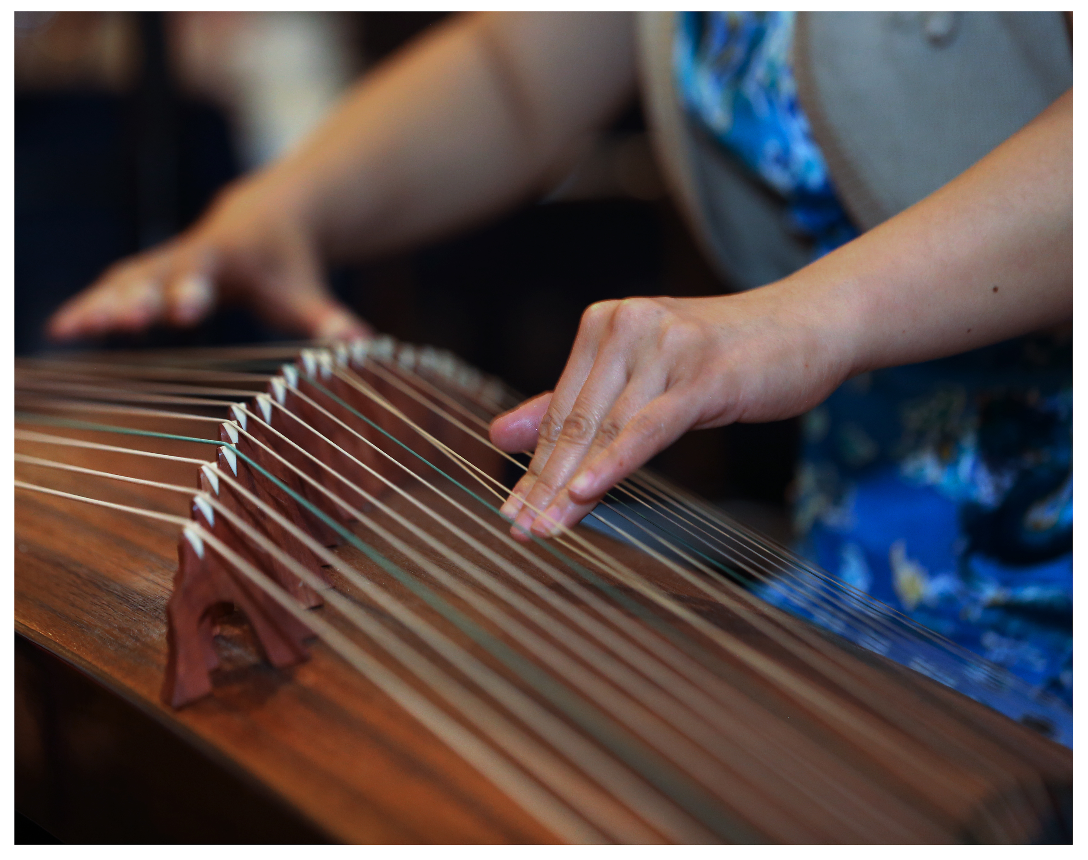 Yaying Tu performs a selection of instrumental music. 