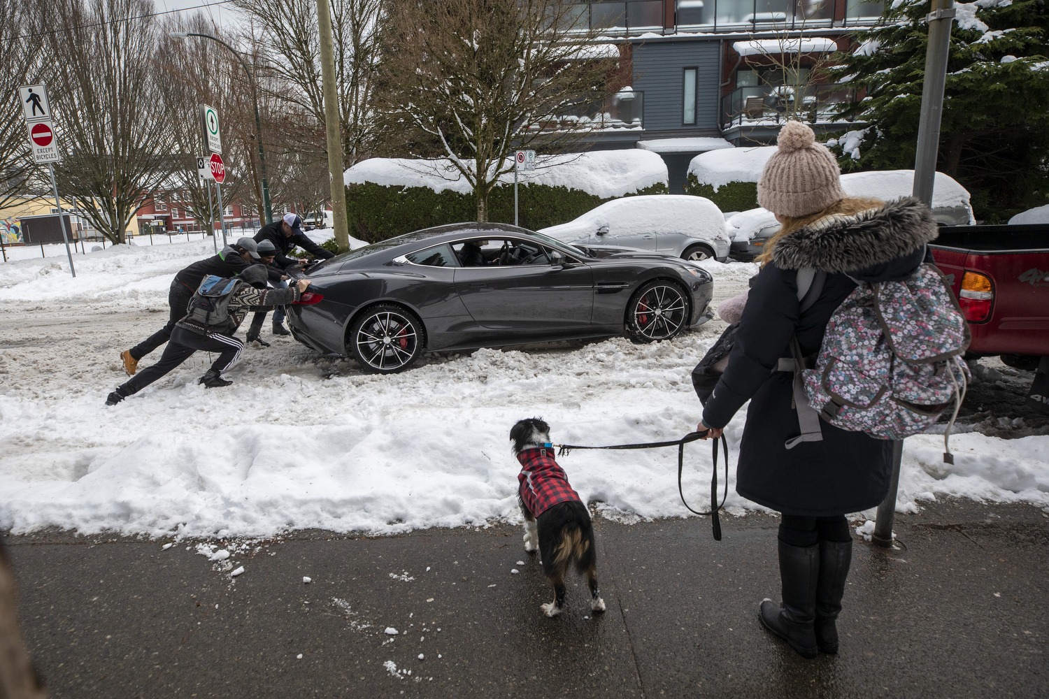 A woman and her dog watch as people push an Aston Martin Vanquish sports car, worth more than $300,000, after it became stuck in the snow in Vancouver on Jan. 15, 2020. 