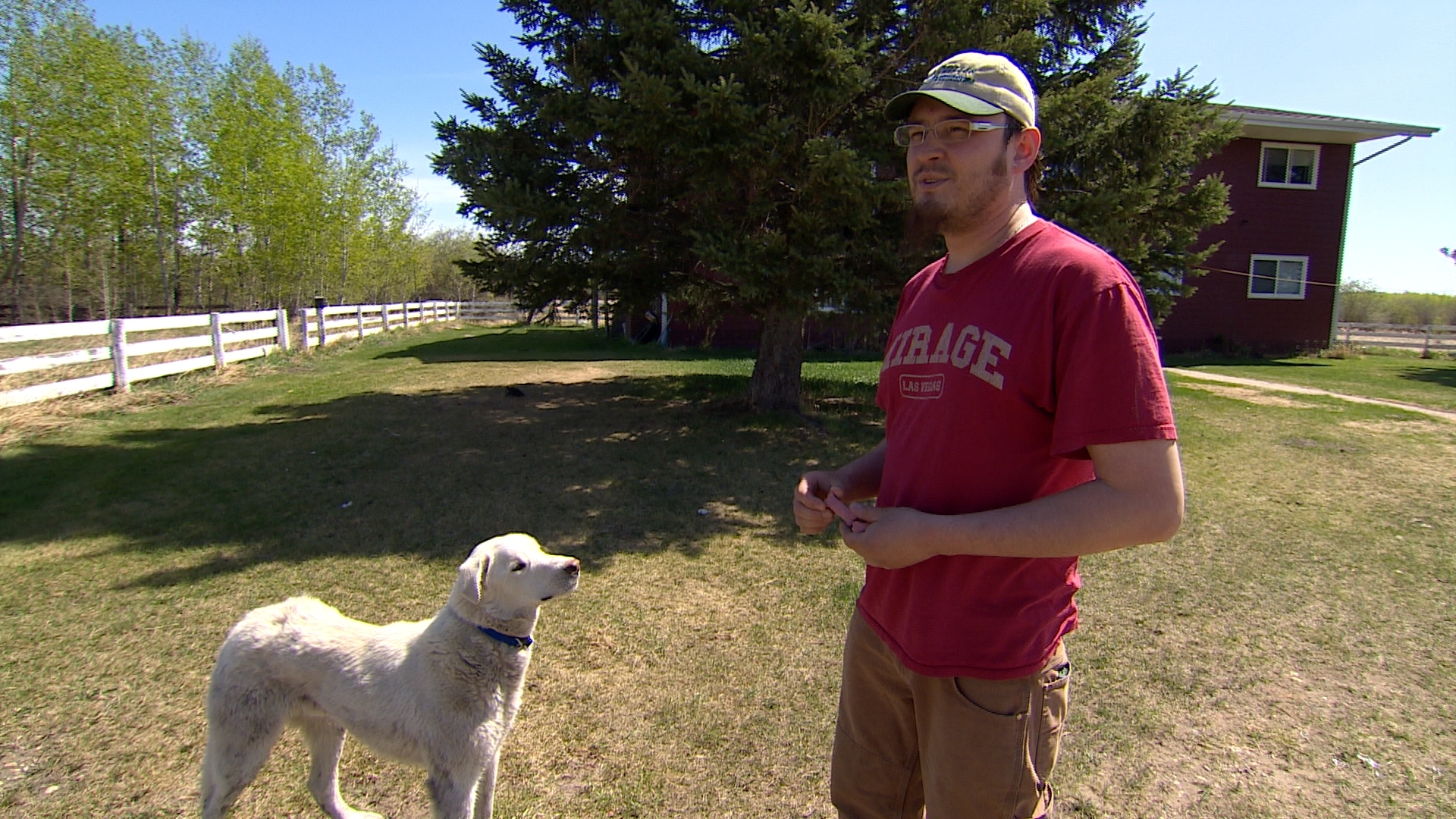 Jordan Bull often leaves his dog, Ryley, free to roam the Maskwacis community. (Sam Martin/CBC)