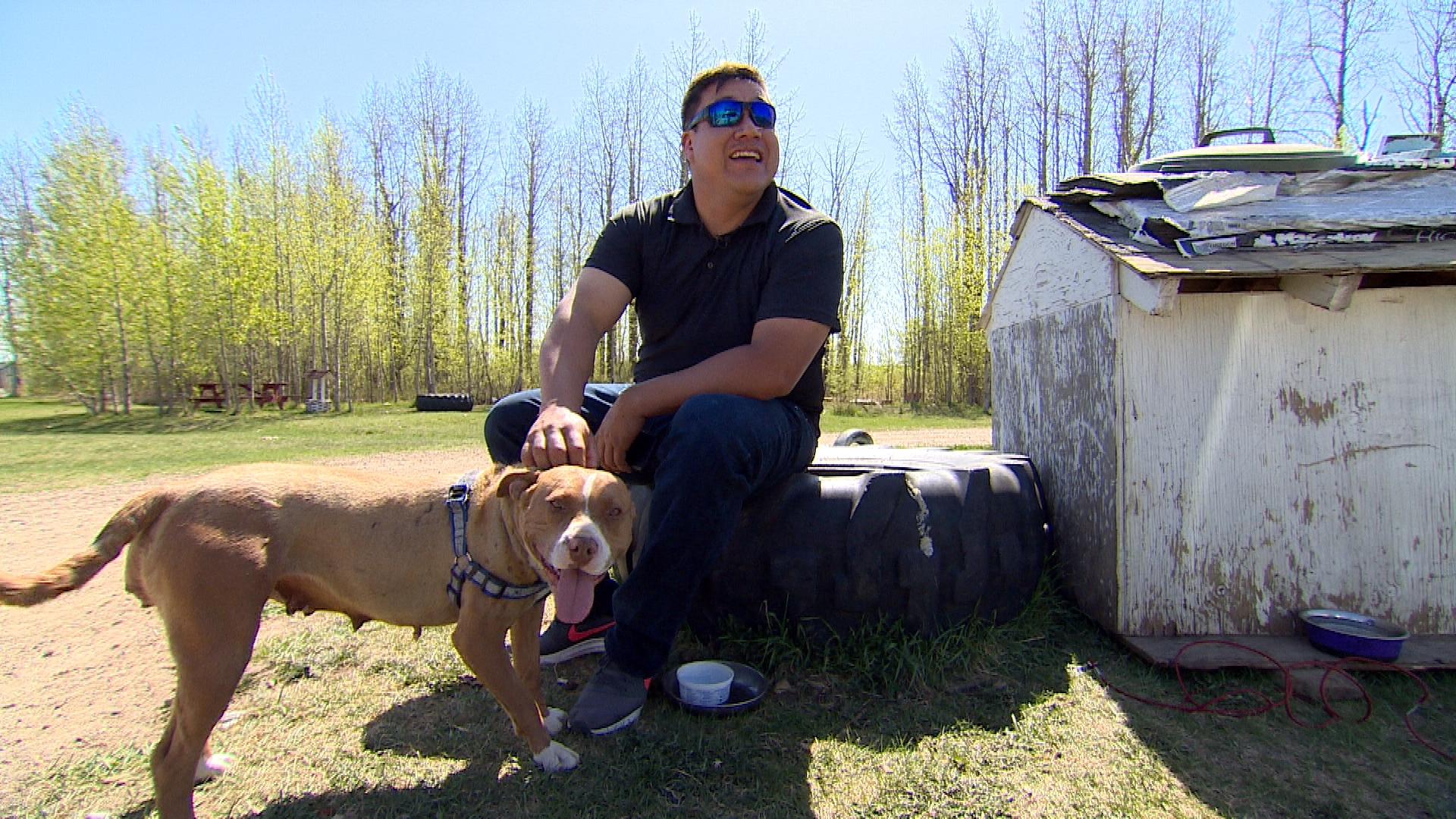 Tribal officer Josh Littlechild has helped introduce new dog regulations on Ermineskin Cree Nation. (Sam Martin/CBC)