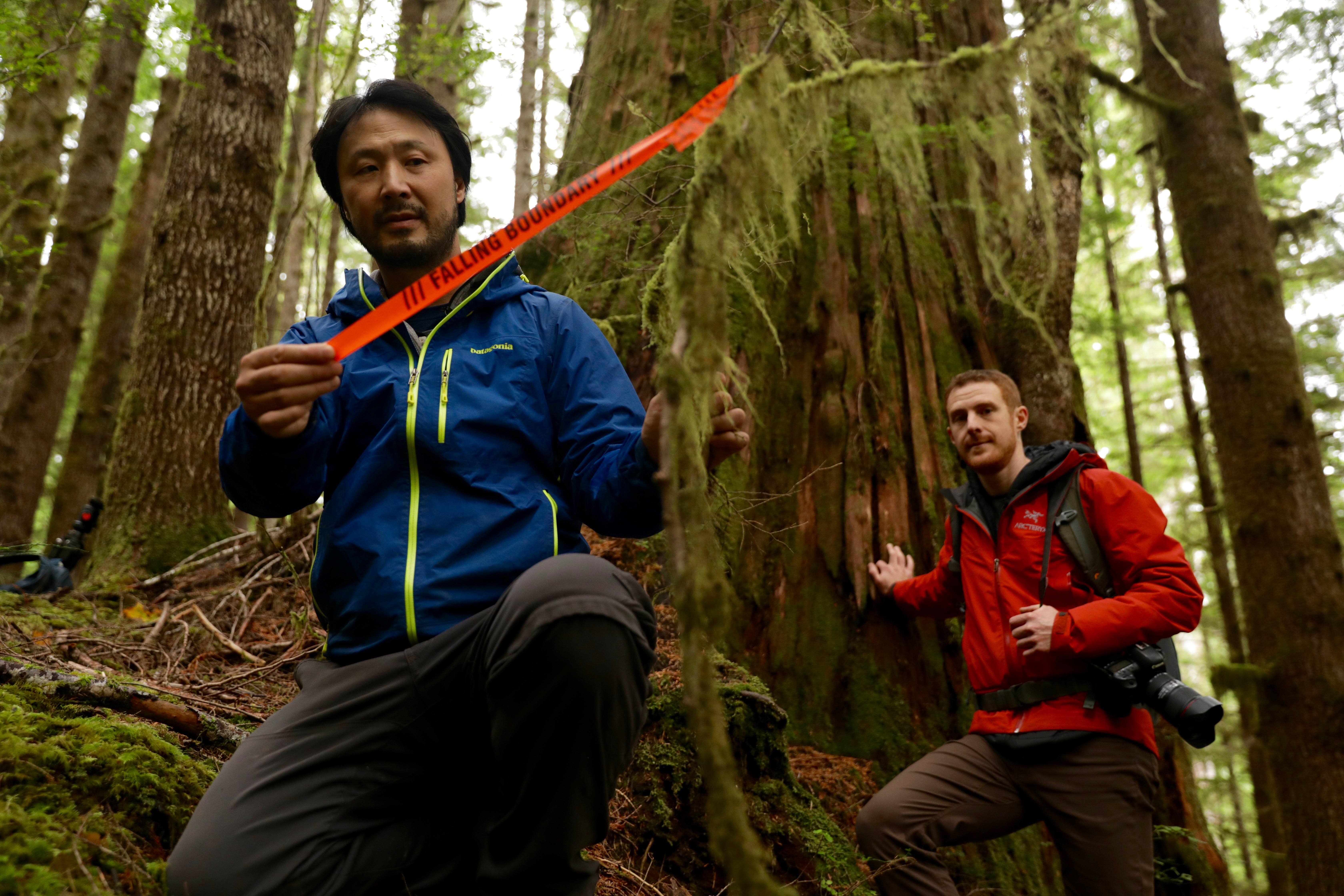 Ken Wu holds a piece of surveying tape used by loggers to mark out cutting areas. (Chris Corday/CBC)