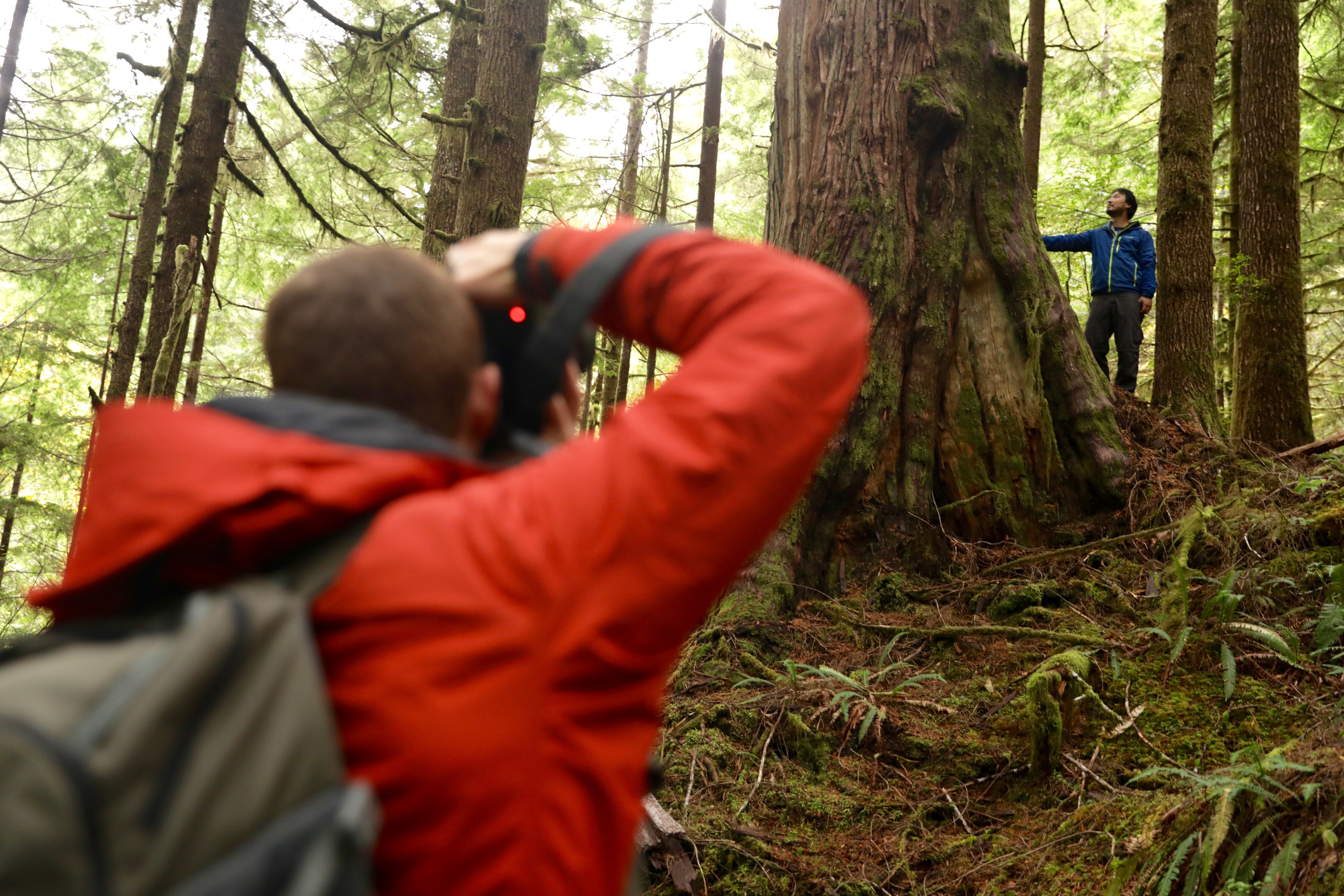 Tj Watt and Ken Wu use photography as a conservation tool for forestry in B.C. (Chris Corday/CBC)