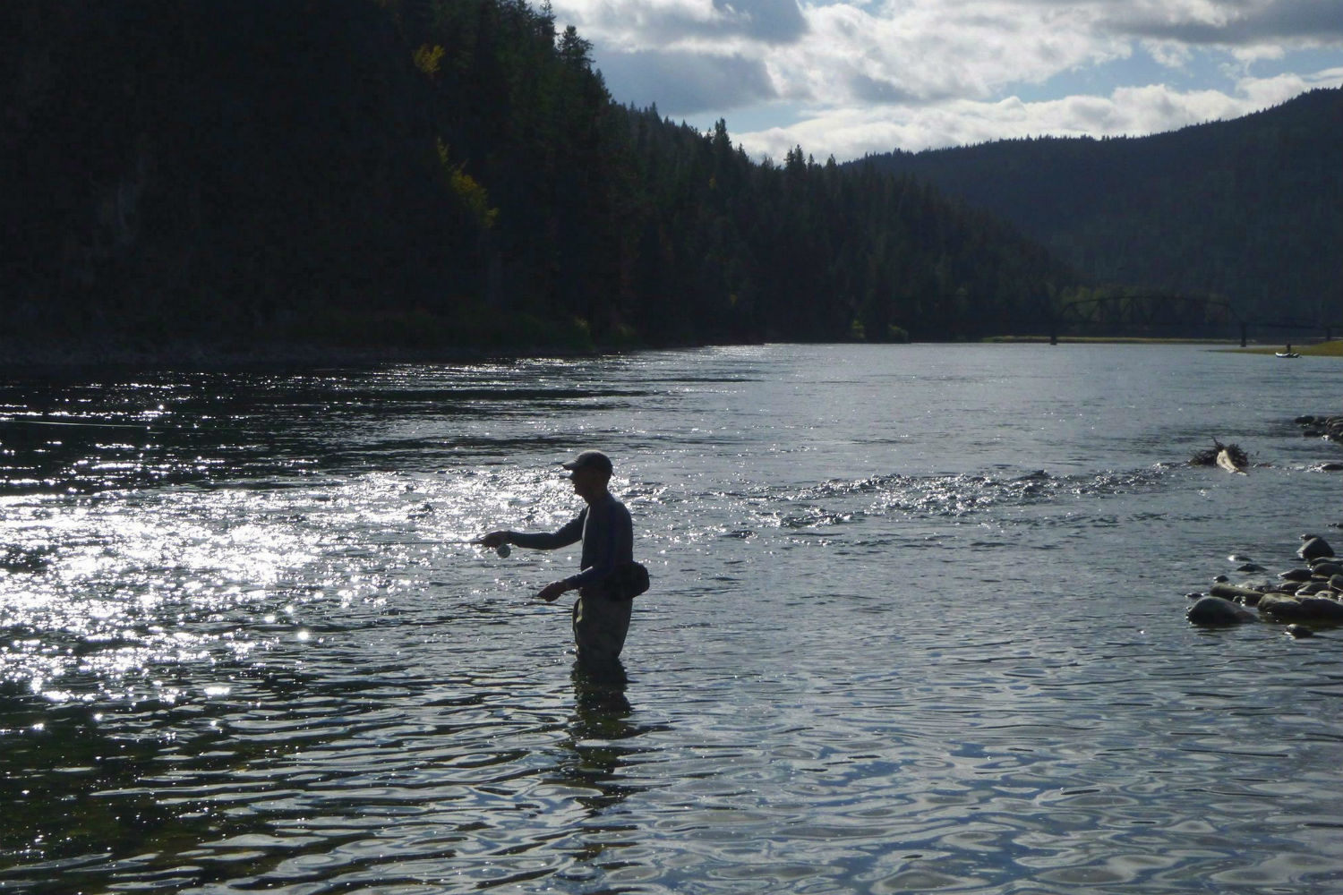 A fly fisherman casts on the Kootenai River near the Montana-Idaho border on Sept. 19, 2014. The U.S. government has expressed concern over pollution from mines upstream in B.C., after research that shows contaminants in a river south of the border came from Canada. (Rich Landers/Associated Press)