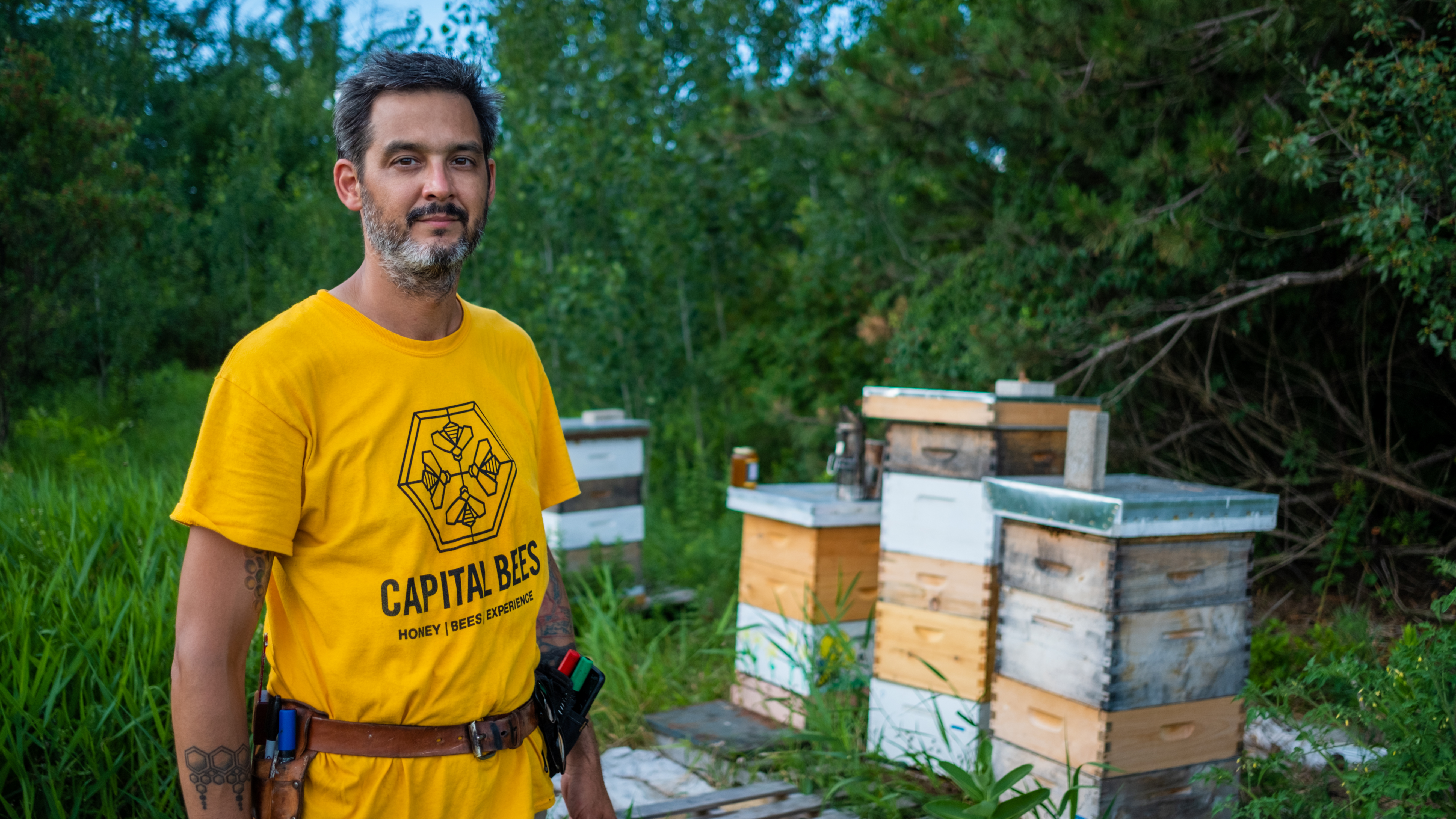 St. Louis says there's always more to learn about these insects. 'Beekeeping is an infinite well of fascination and knowledge.' (Michel Aspirot/CBC) 