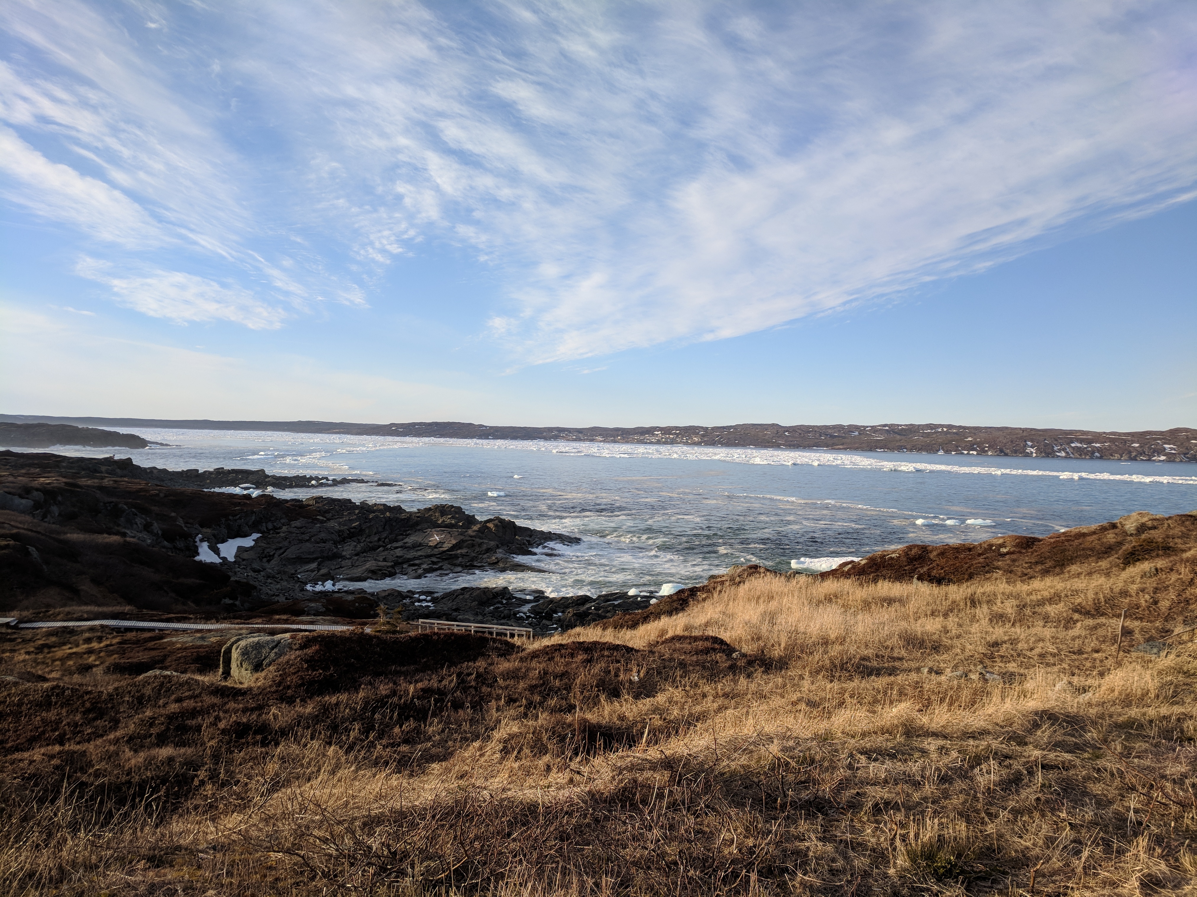 St. Anthony is a town of slightly more than 2,000 people on Newfoundland's northern peninsula. (Lisa Mayor/CBC)