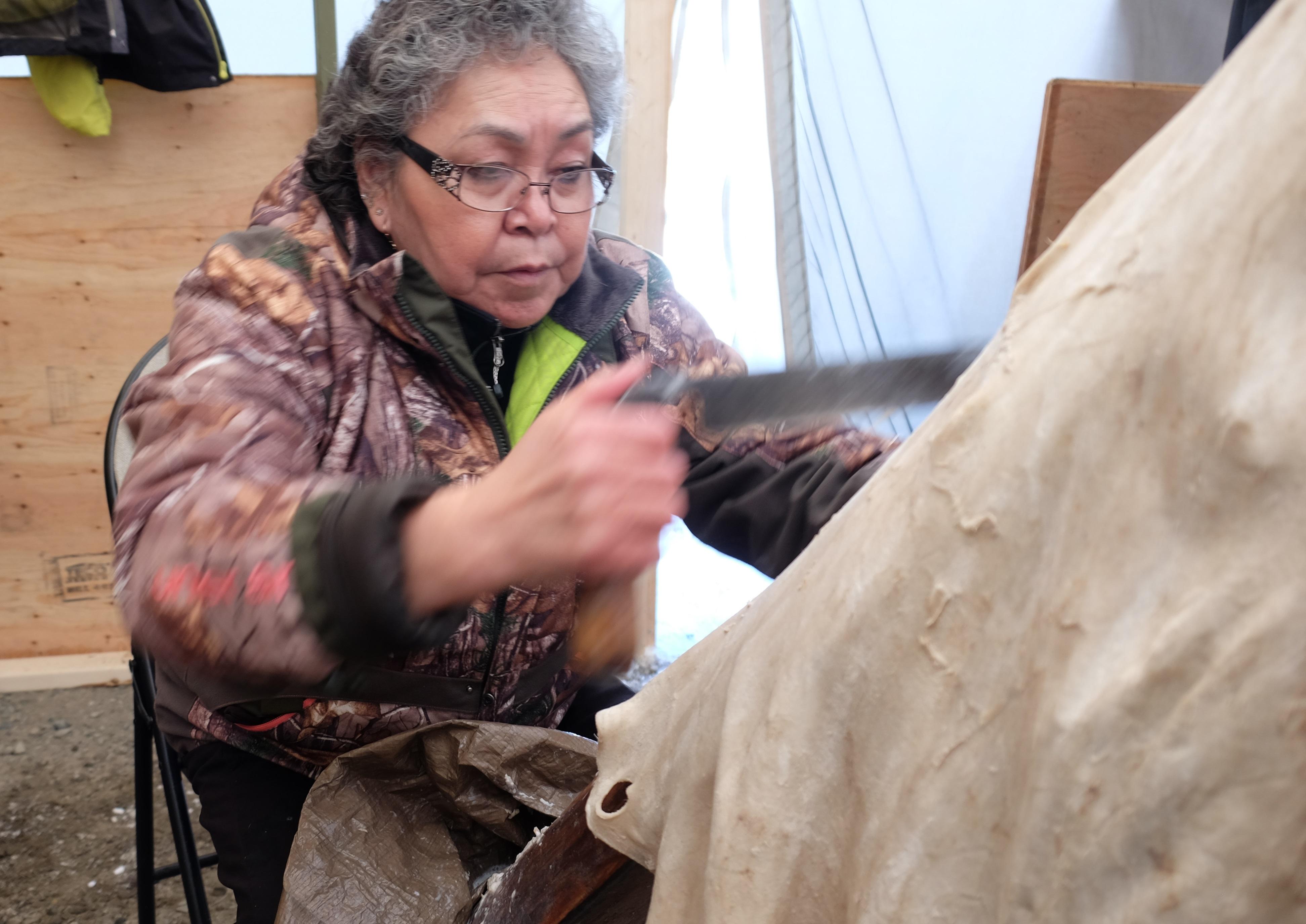 Elder Diane Smith uses a drawknife to pull the tanning solution through the hide. (Jane Sponagle/CBC)