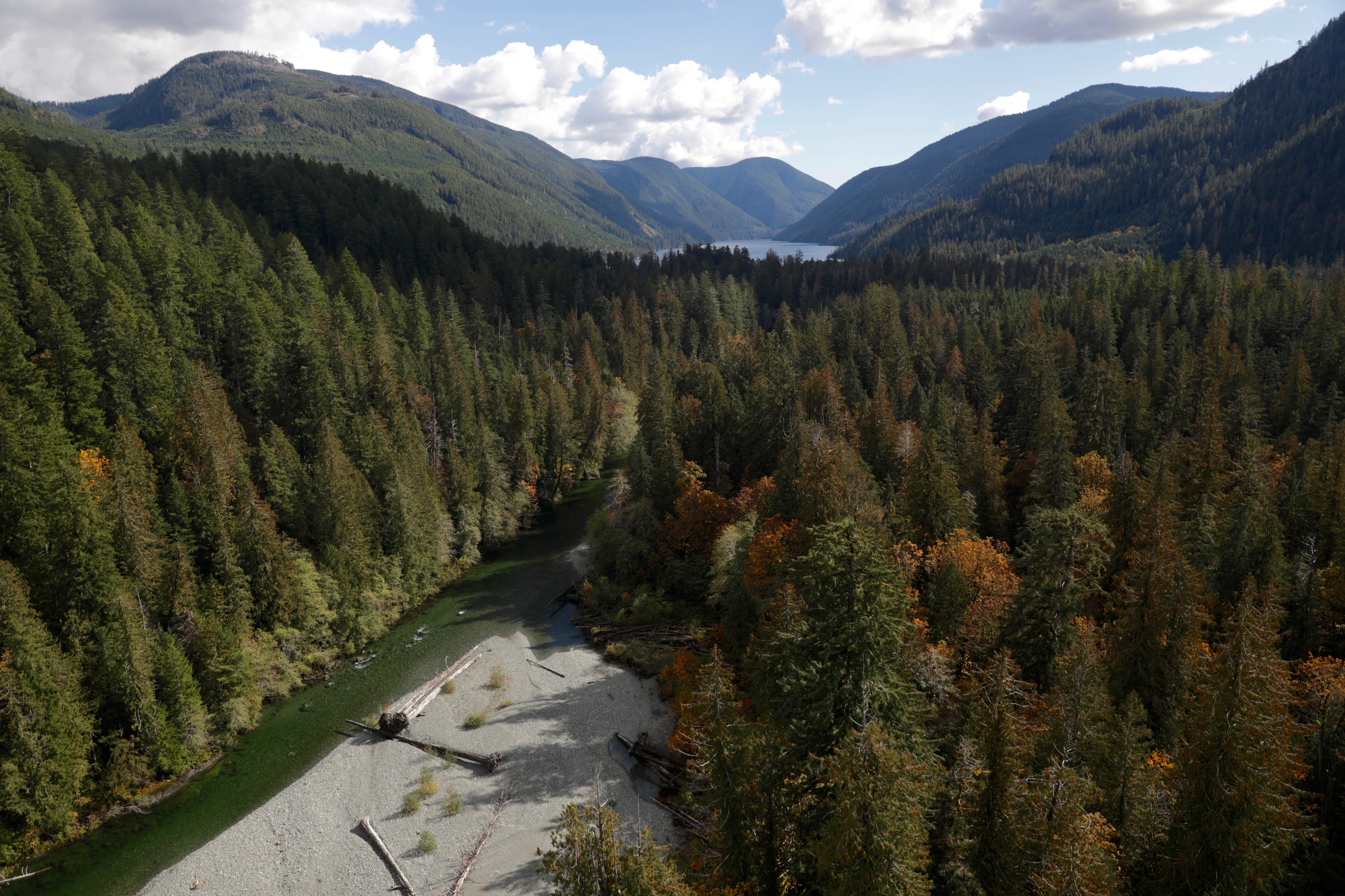 An aerial photograph of the Nahmint Valley outside Port Alberni, B.C., shows protected old-growth groves along the water and replanted hillsides that were previously logged. (Chris Corday/CBC)