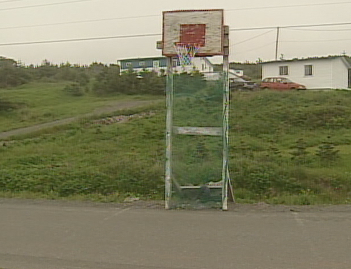 This is how the Patrick's Cove net looked in the summer of 2002. (CBC Sports)