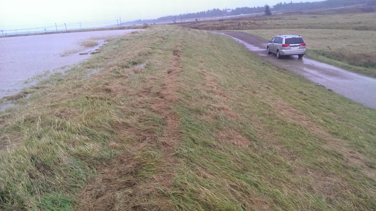 Overtopping of the dikes near Aulac, N.B., near the border with Nova Scotia. (Mike Johnson)