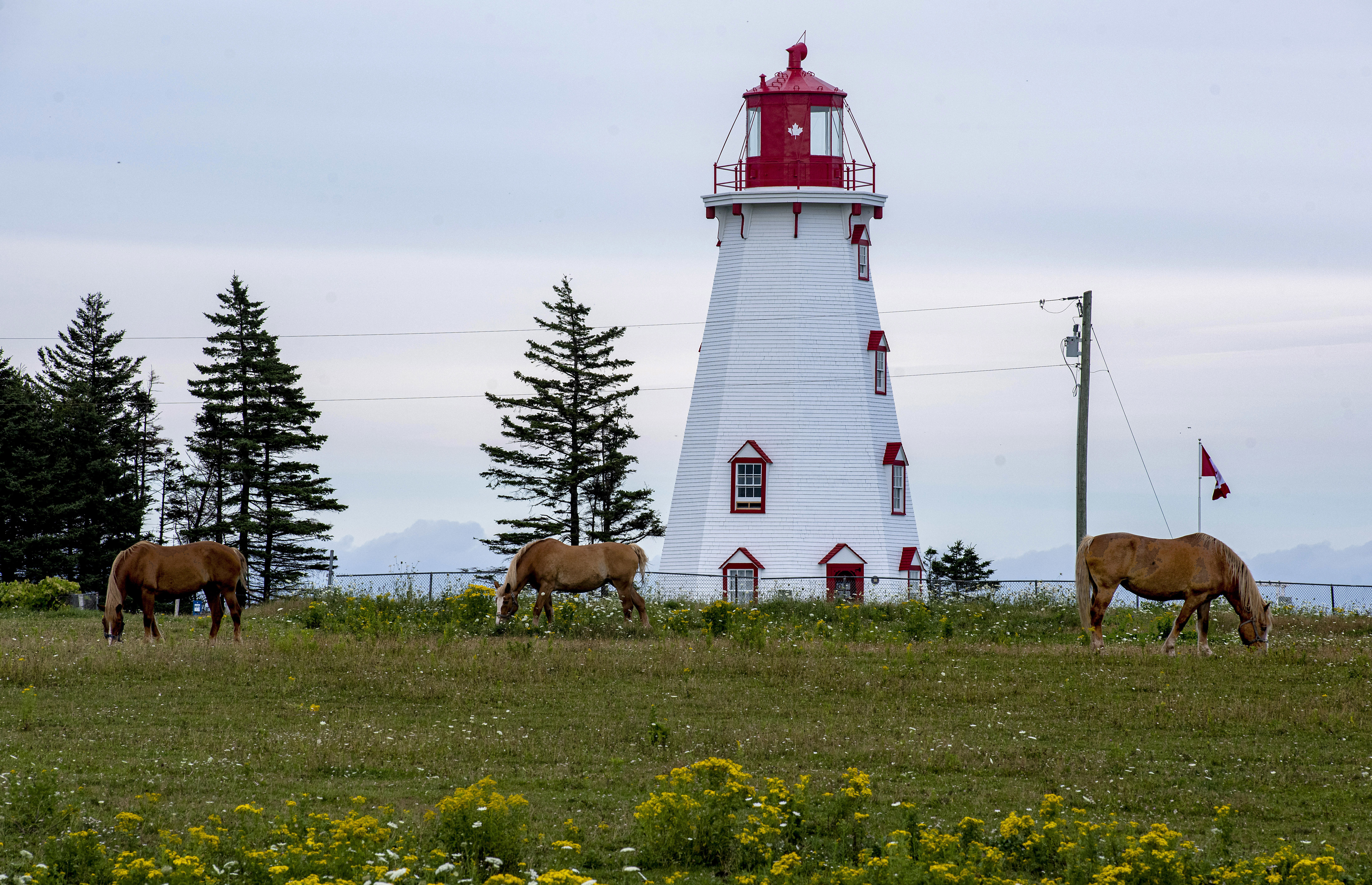 In 2013, Panmure Island Lighthouse was designated a provincial heritage place. (Brian McInnis/CBC)