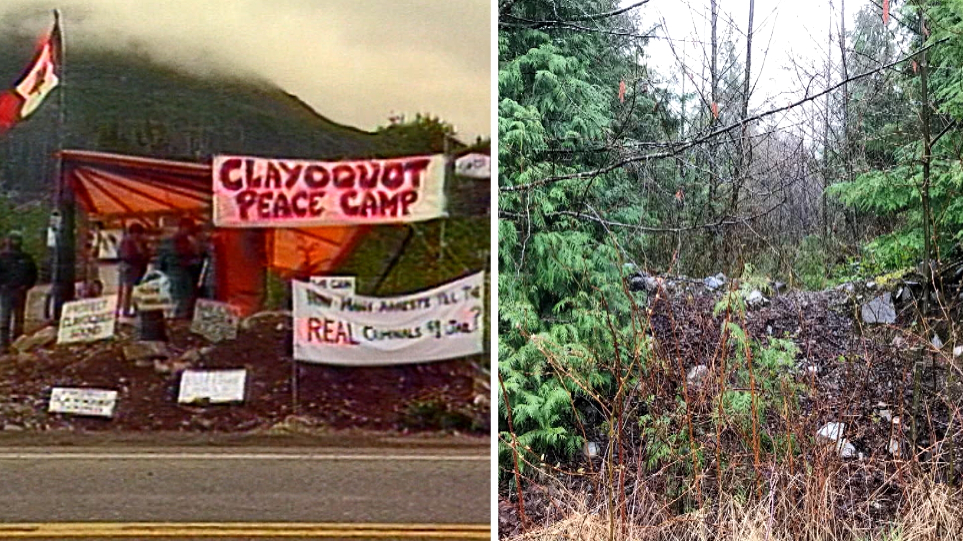 The site of the Clayoquot Sound peace camp then and now. (CBC)