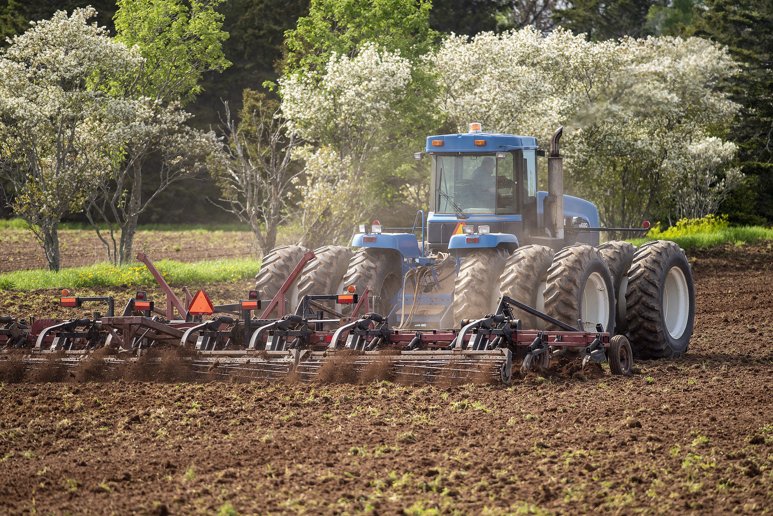 A farmer tills the soil in his field in Johnstons River recently. Spring planting is in full swing across the Island. (Brian McInnis)