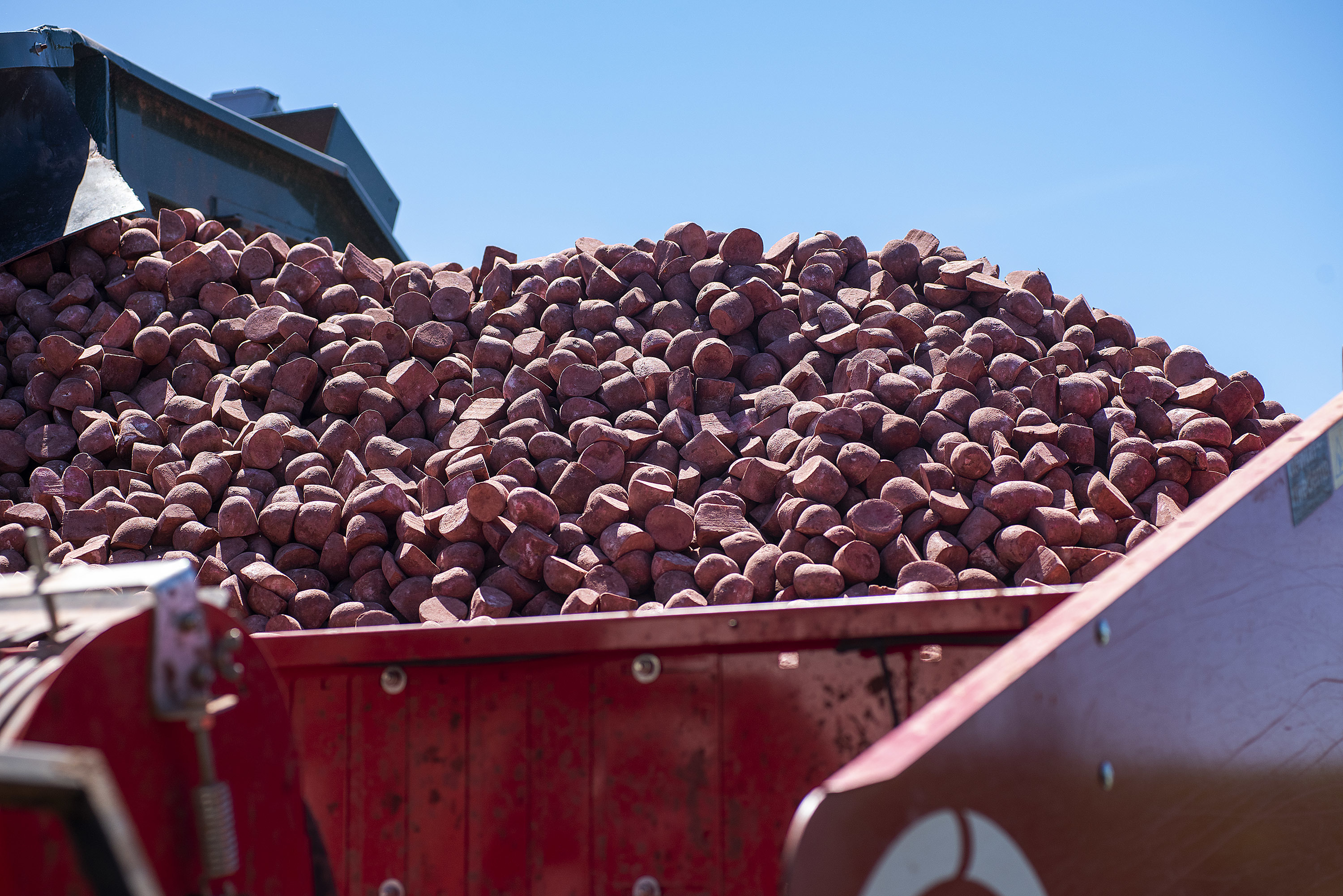 A planter full of seed potatoes is ready for planting. (Brian McInnis)