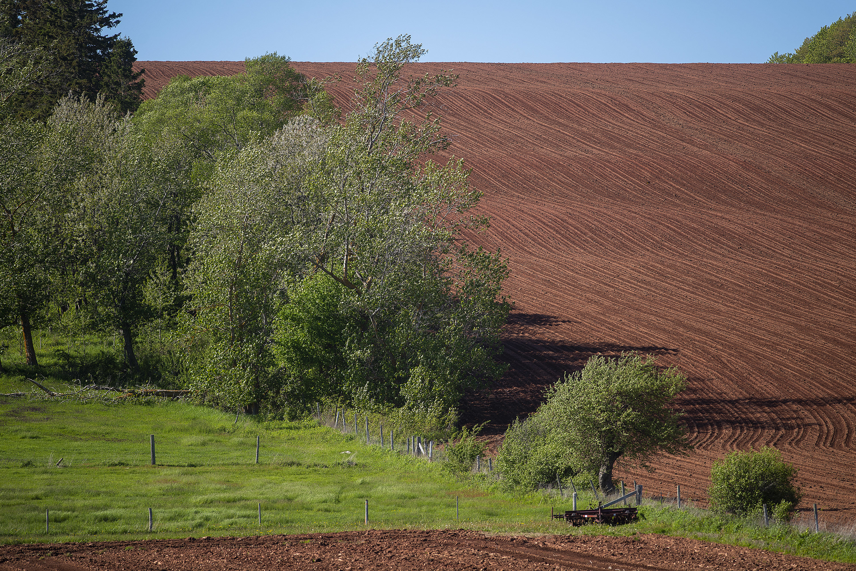 The rolling hills of Alexandra make a beautiful sight soon after a farmer plowed them. Farmers plow fields from the top of hills down to the waters of Pownal and Alexandra Bays. (Brian McInnis)